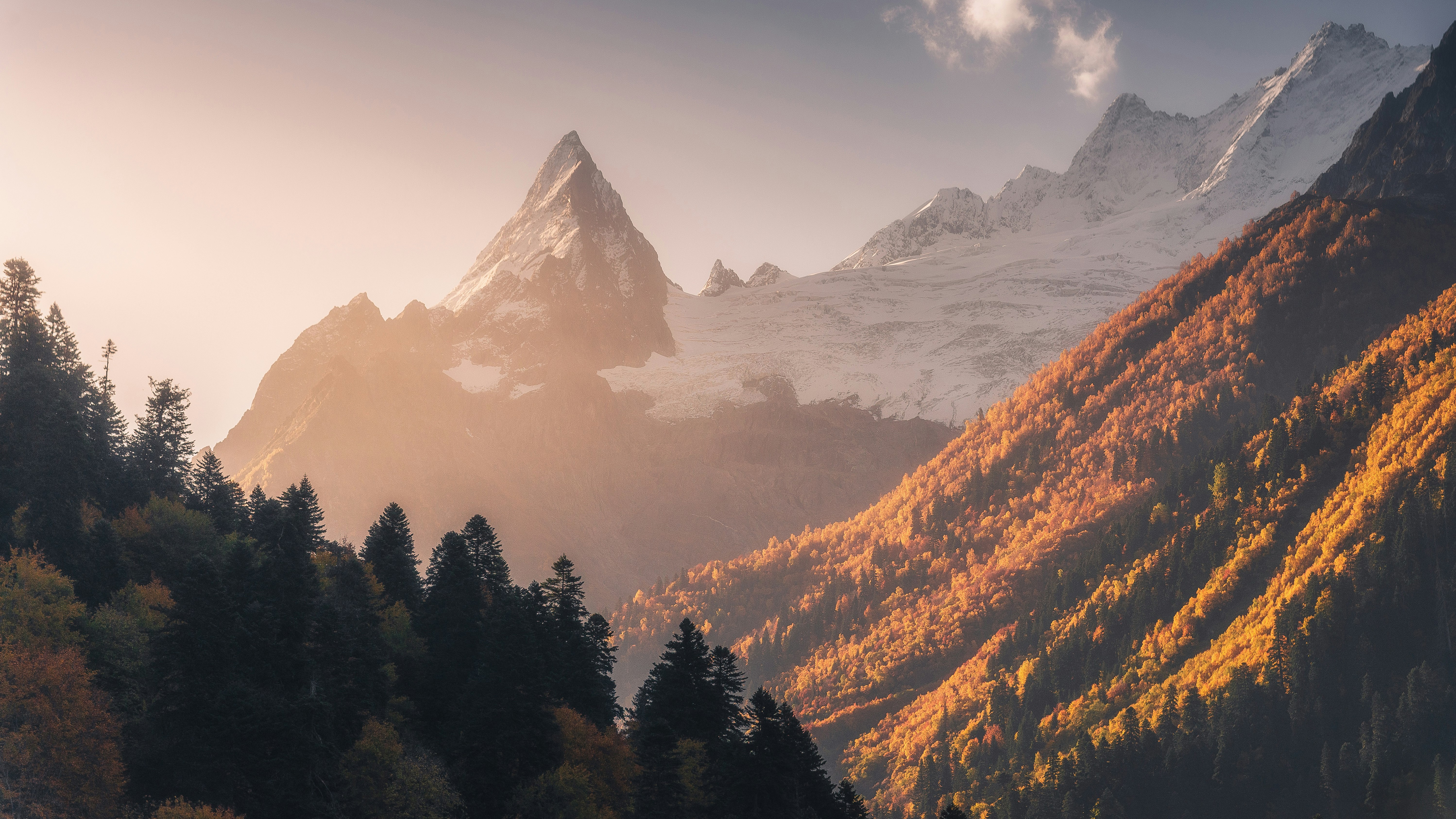 Golden Alpine Peak with Snow Capped Mountains and Autumn Trees HD Wallpaper