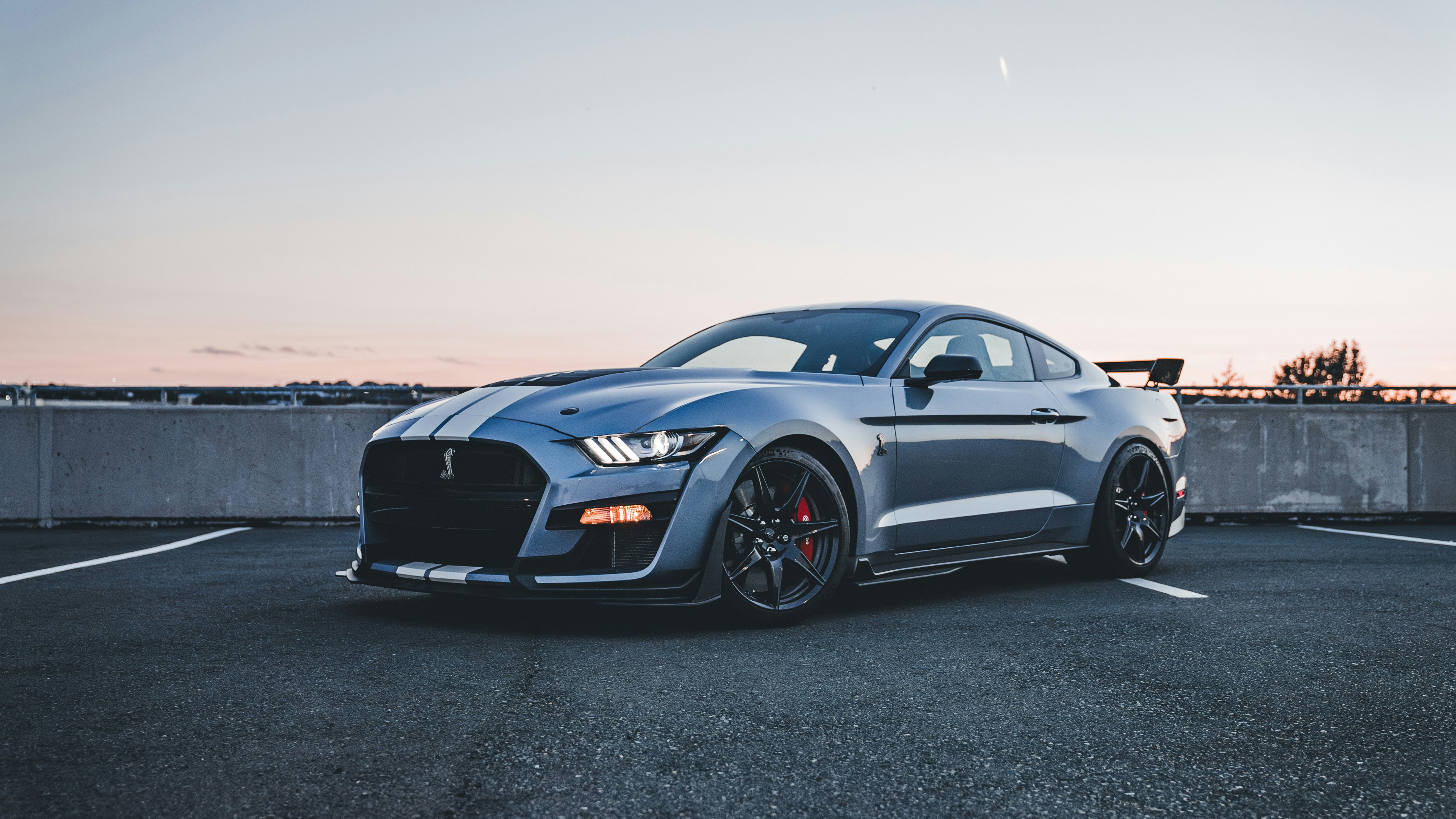 2026 Ford Mustang Shelby GT500 parked HD Wallpaper