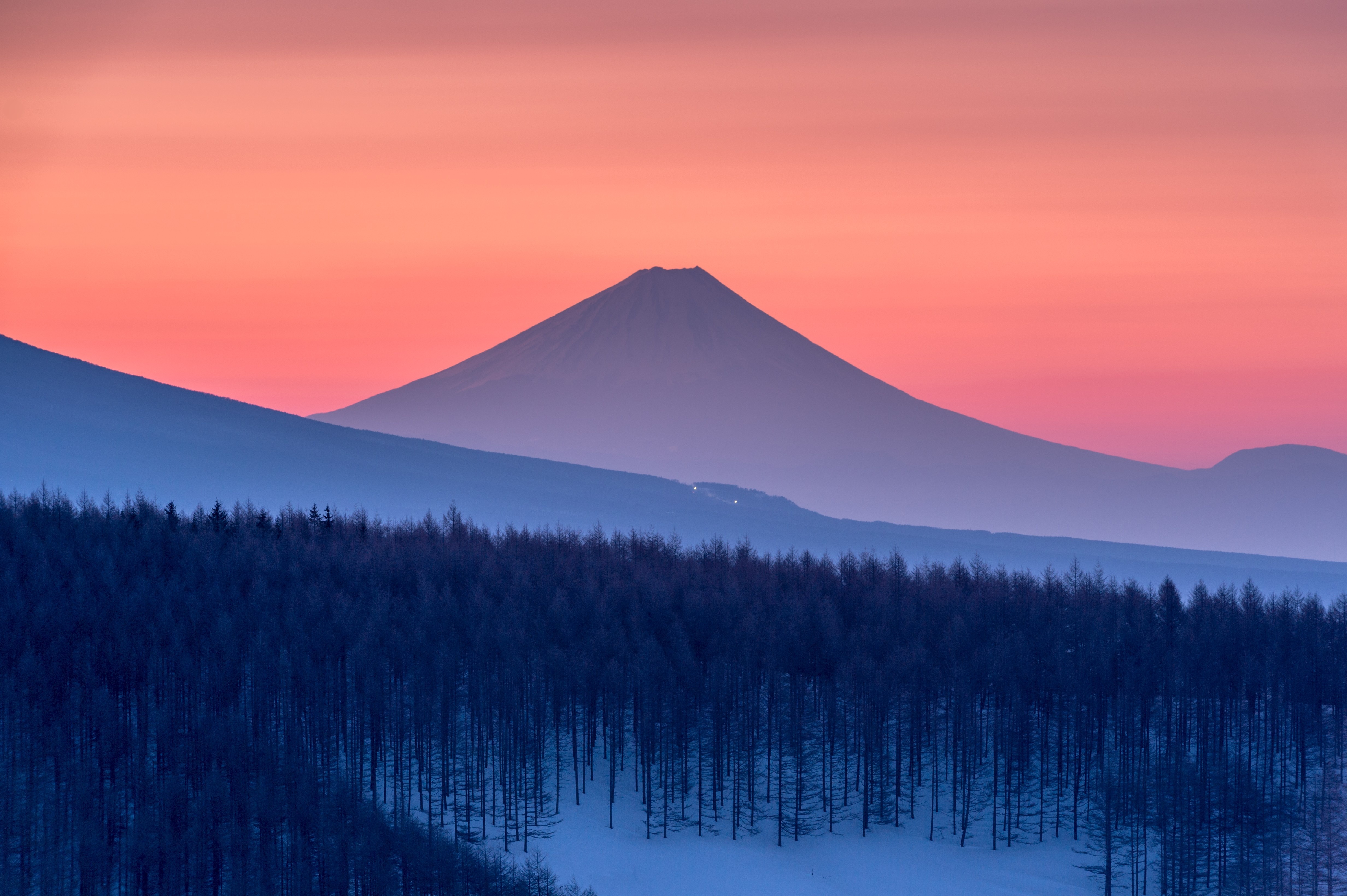 Mount Fuji at Sunrise Over Snowy Forest HD Wallpaper