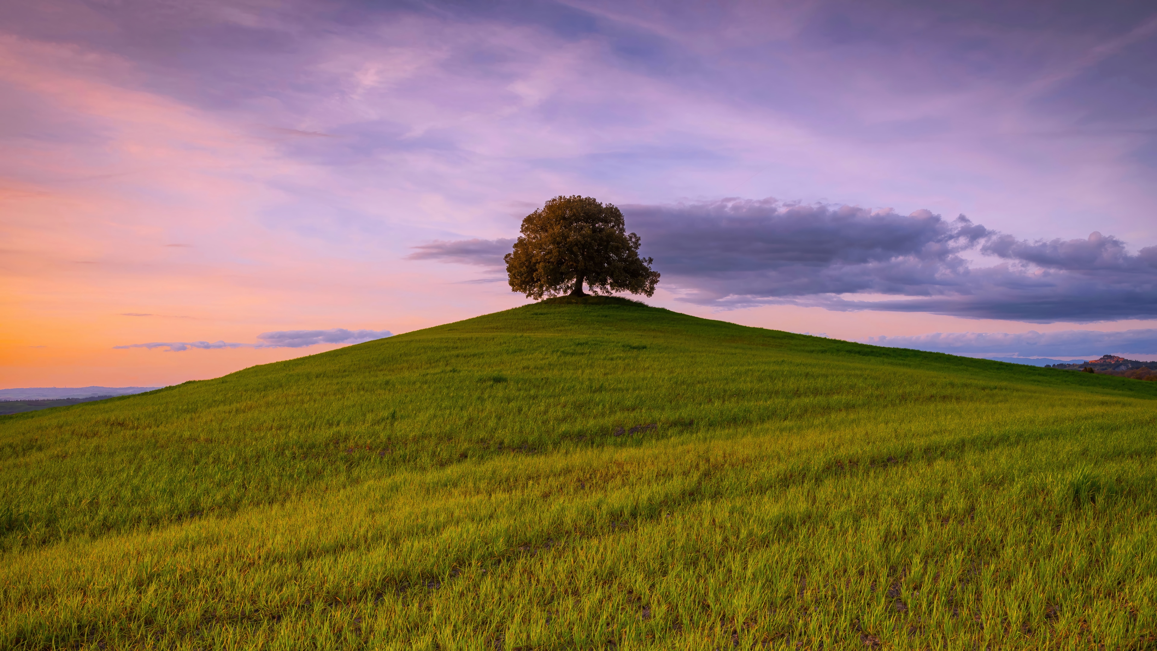 Lone tree on a grassy hill at sunset HD Wallpaper