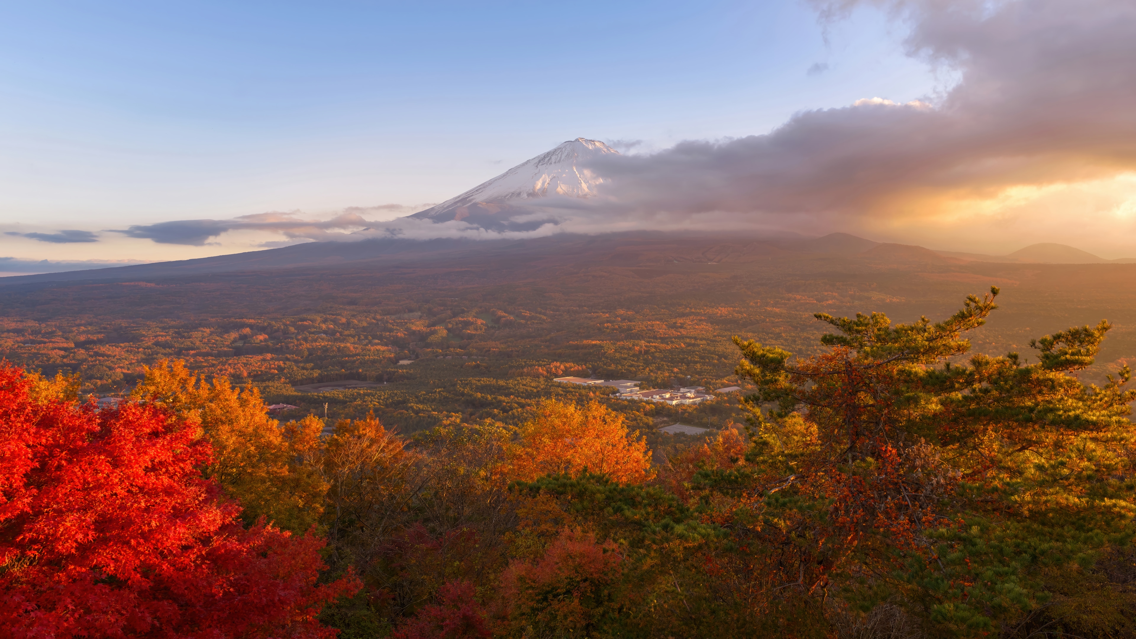 Mount Fuji in Autumn with Colorful Trees HD Wallpaper