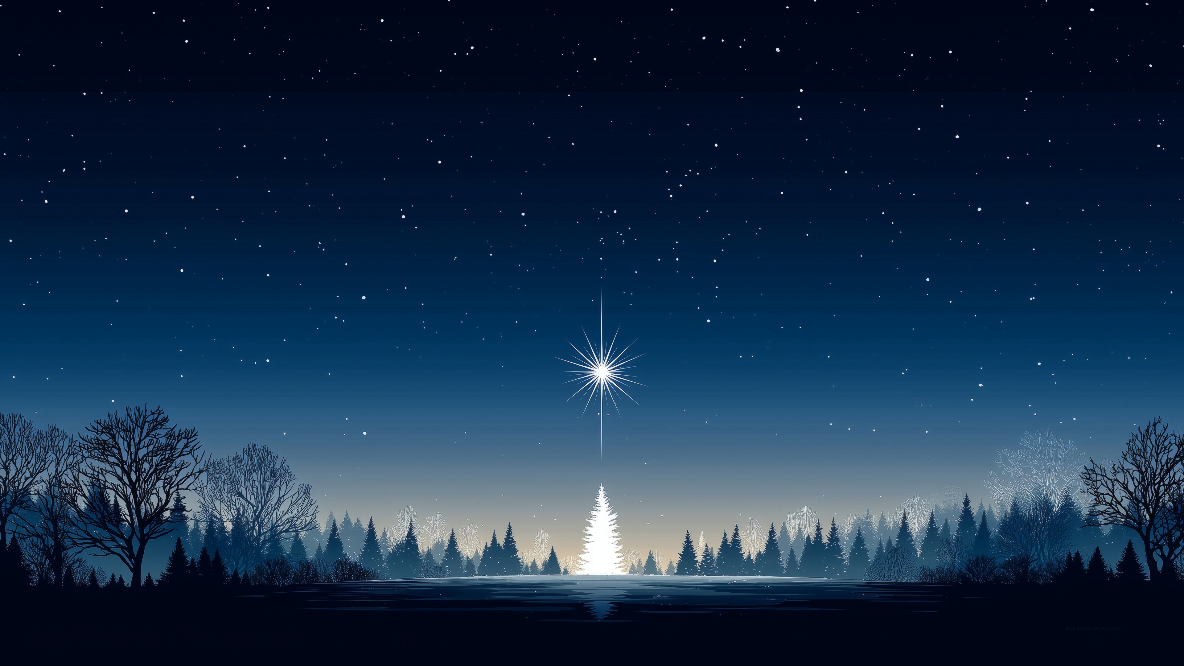 Bethlehem Star over a winter forest HD Wallpaper