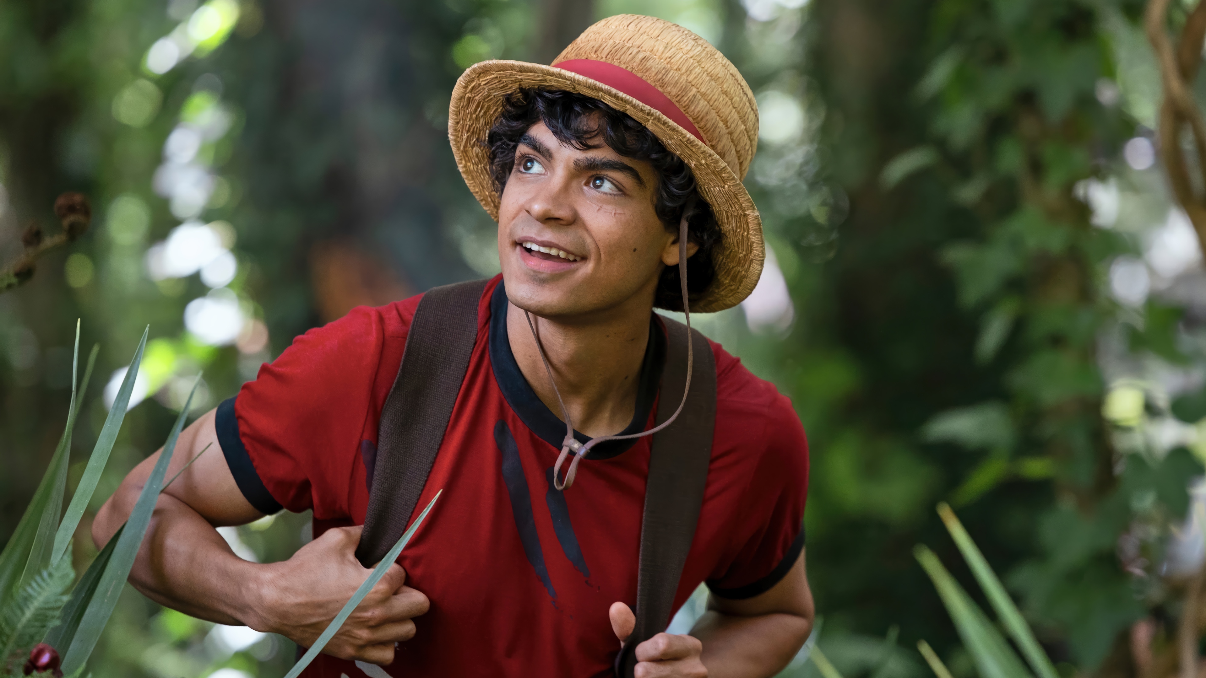 Luffy in a Straw Hat in the Forest 4K HD Wallpaper