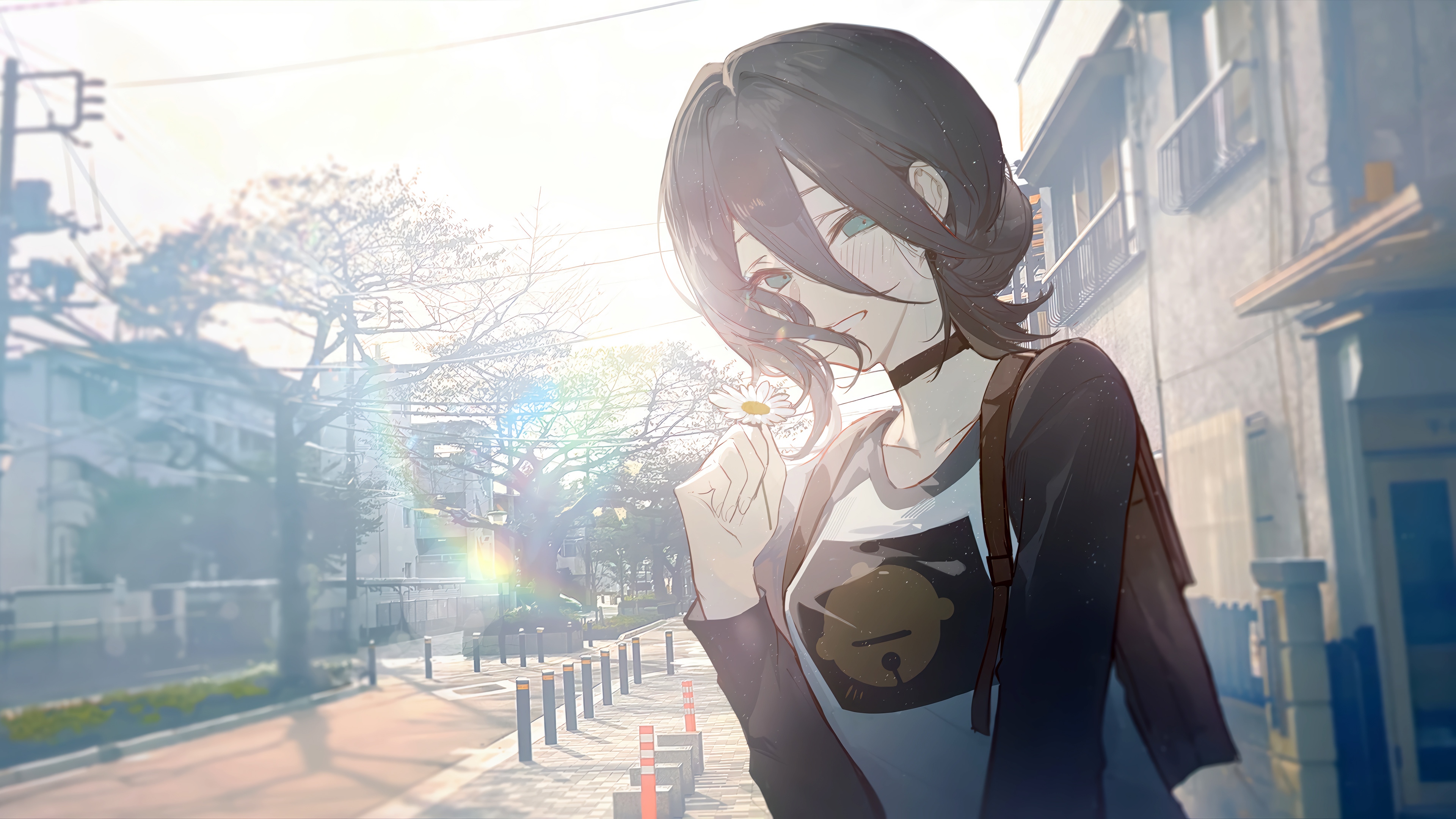 Anime girl holding a daisy in the sun HD Wallpaper