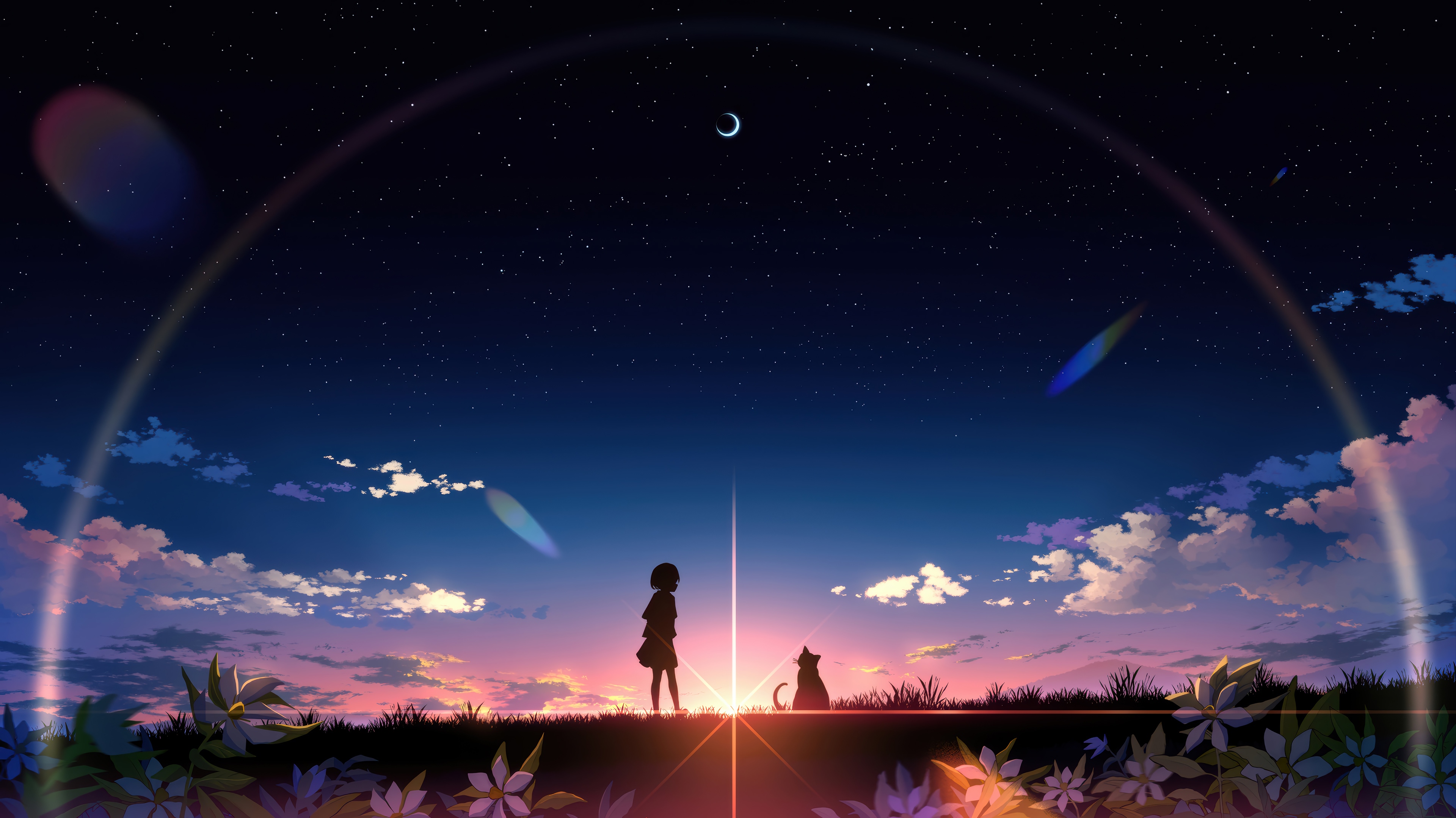 Anime Girl and Cat Silhouette at Sunrise 4K HD Wallpaper