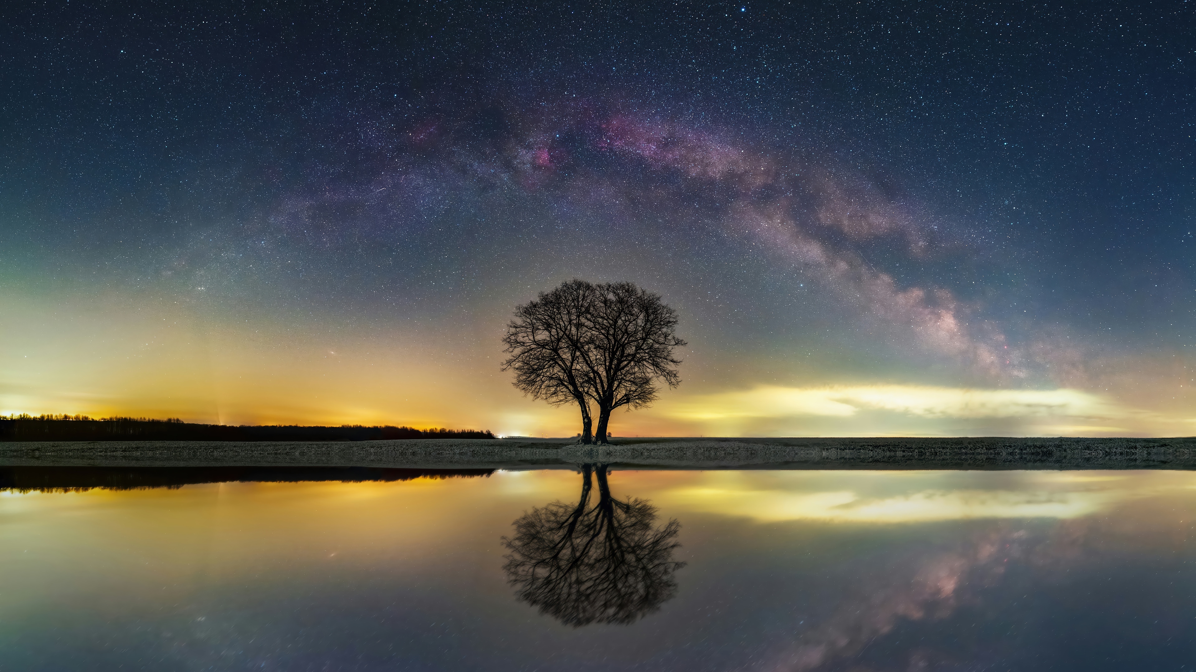 Tree reflected in water under starry sky HD Wallpaper