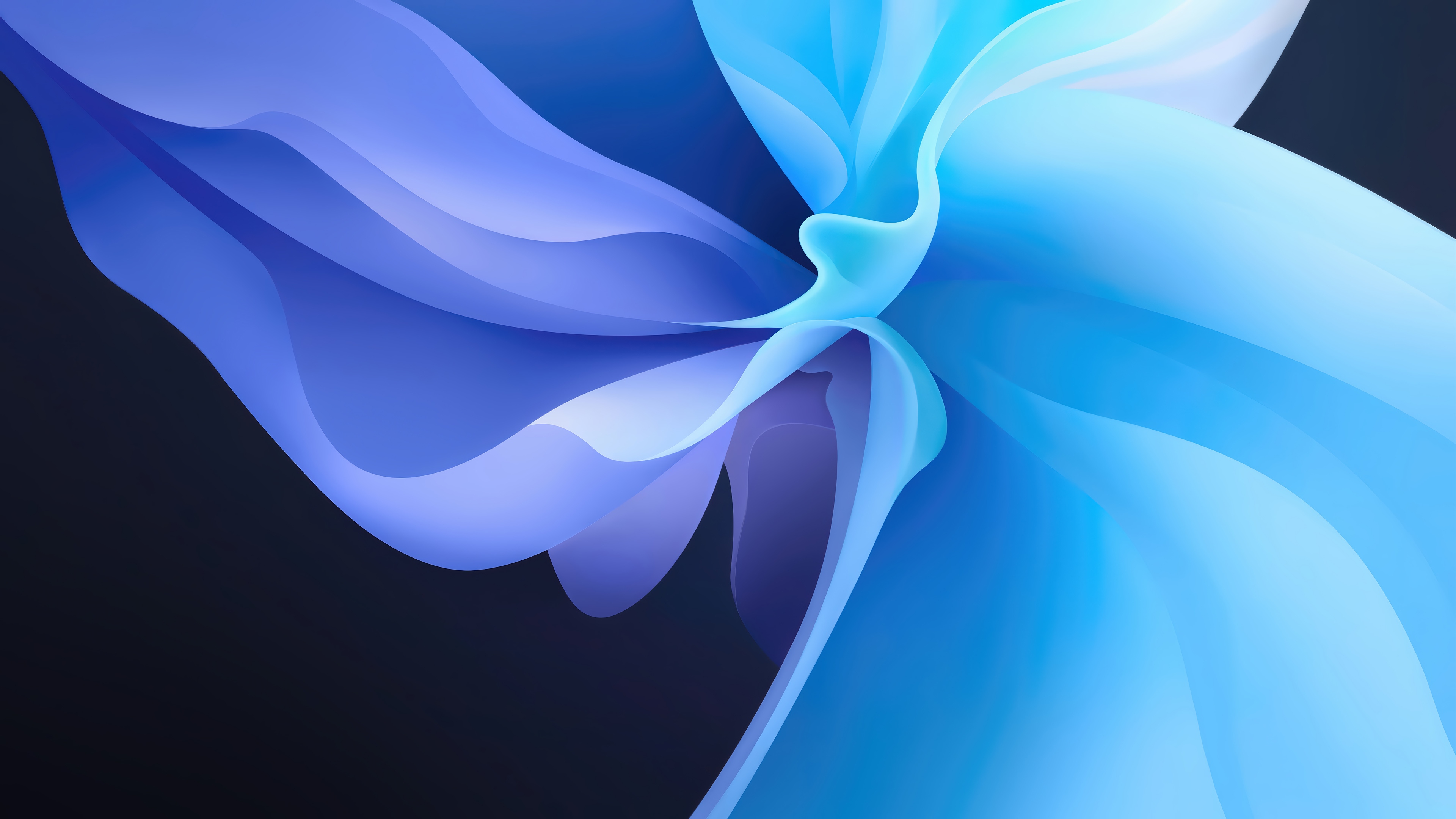 Abstract Blue and Purple Flowing Shapes 4K HD Wallpaper