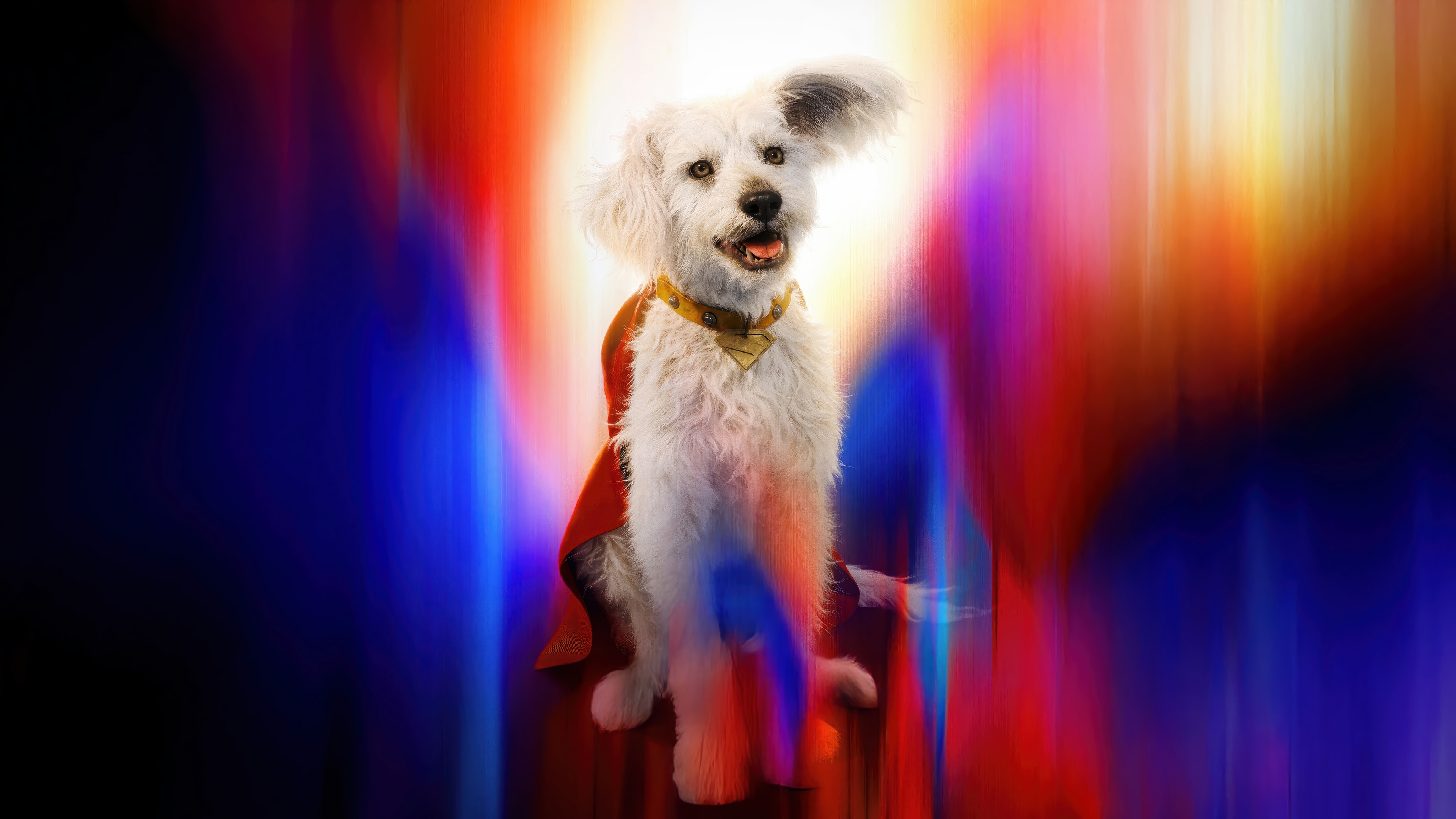 Krypto the Superdog in 4K HD Wallpaper