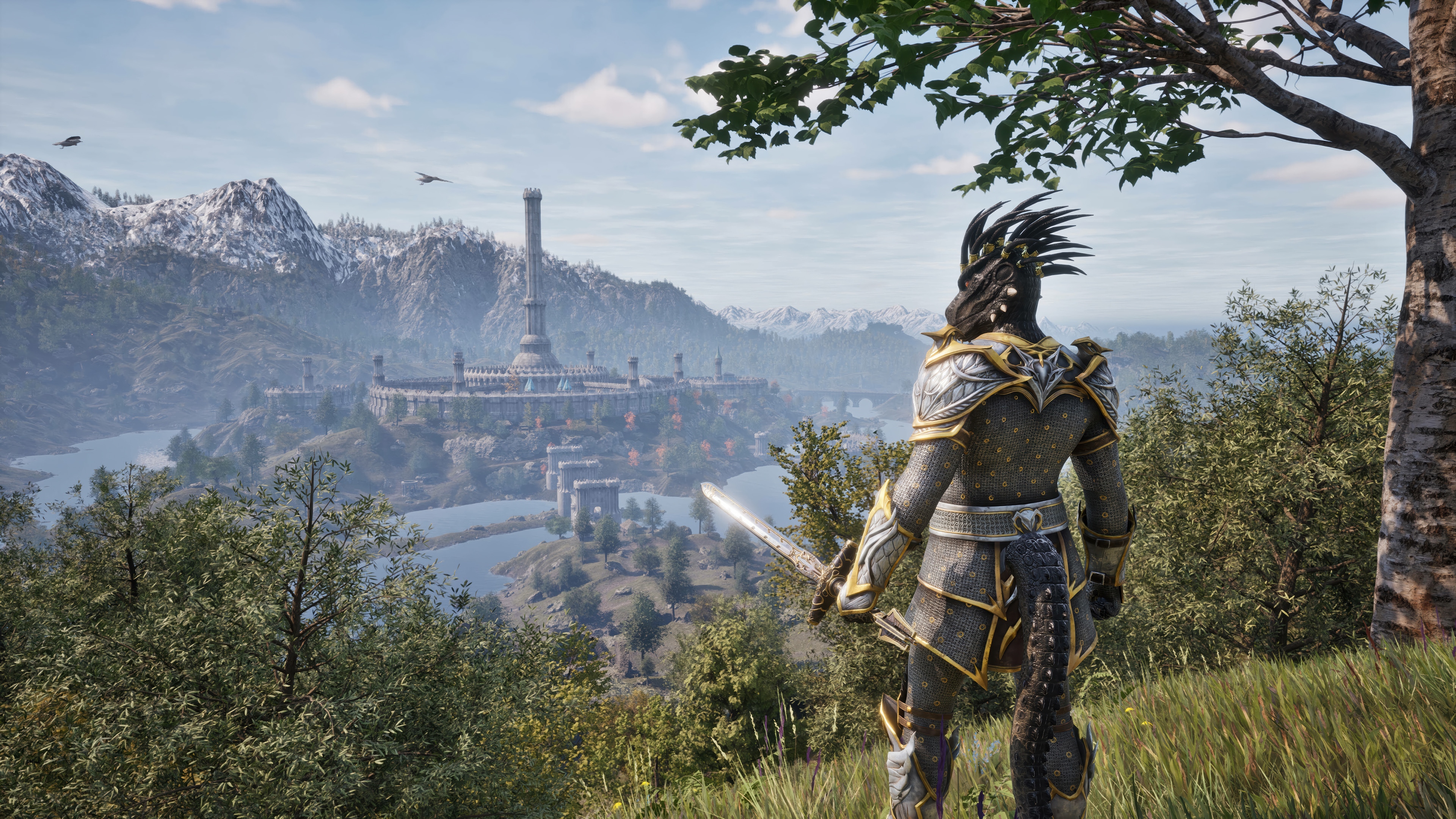 The Elder Scrolls IV: Oblivion Remastered Warrior 4K HD Wallpaper