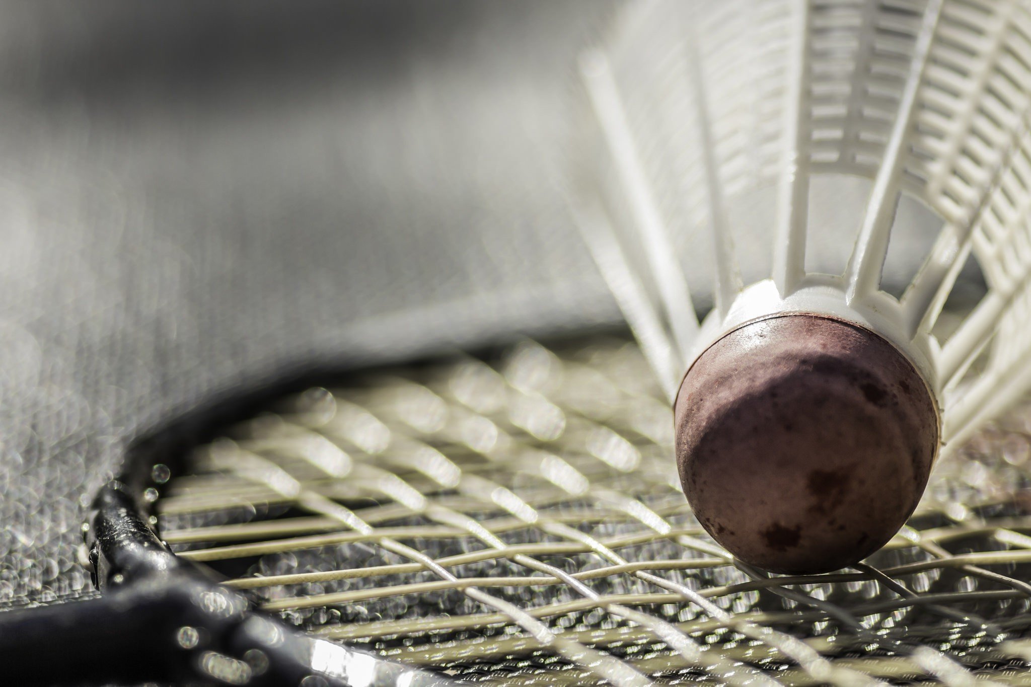 Close-up of a badminton shuttlecock on a racket HD Wallpaper
