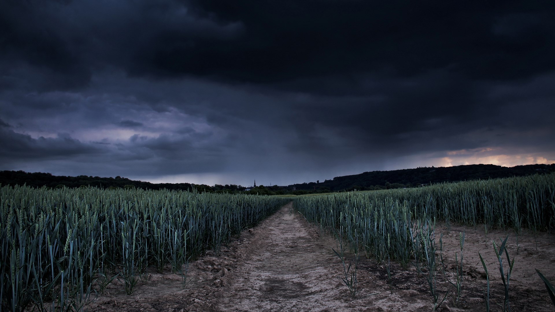 Dirt path through a field of green crops under dark storm clouds HD Wallpaper