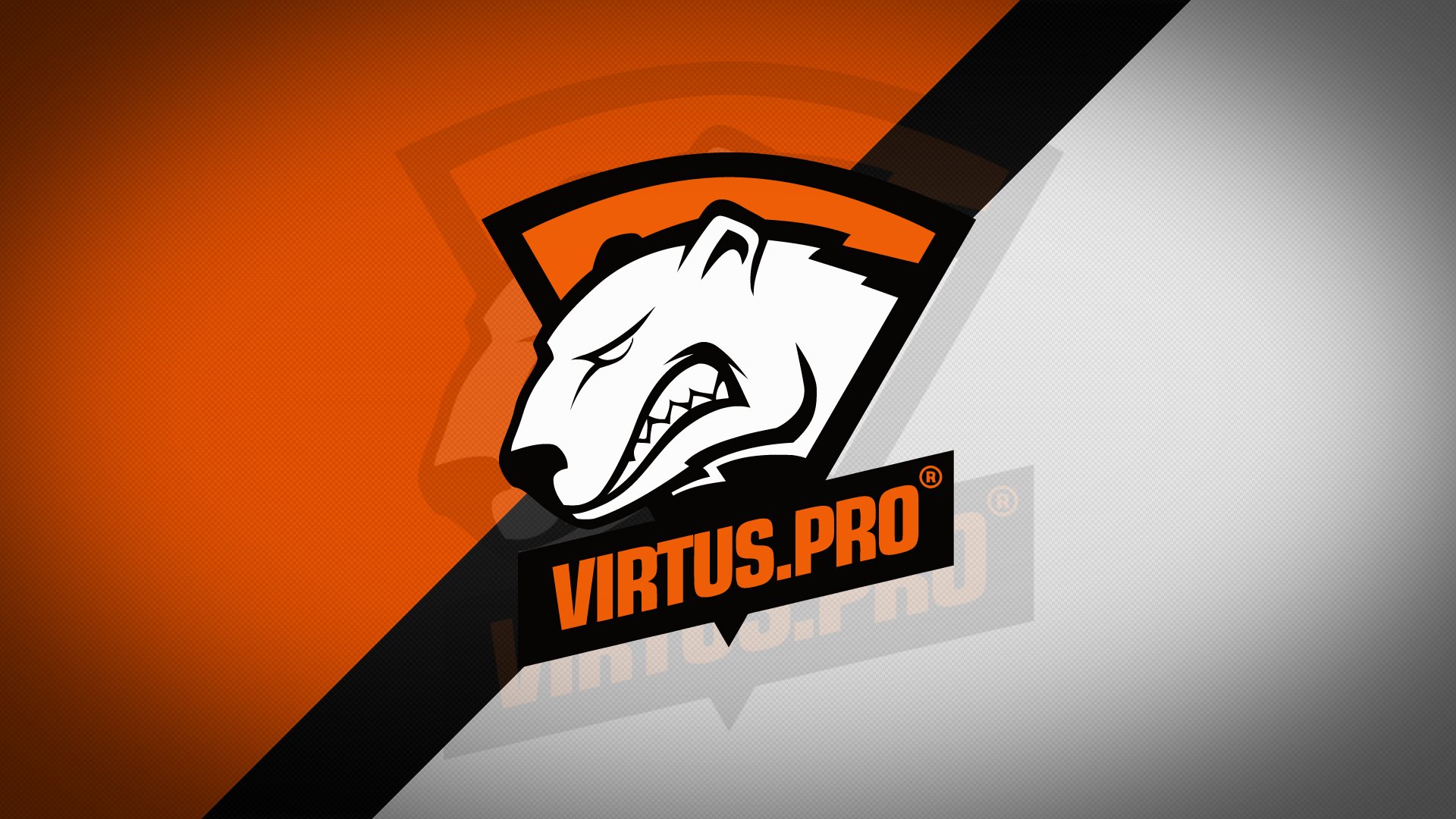 Virtus.pro logo with polar bear HD Wallpaper