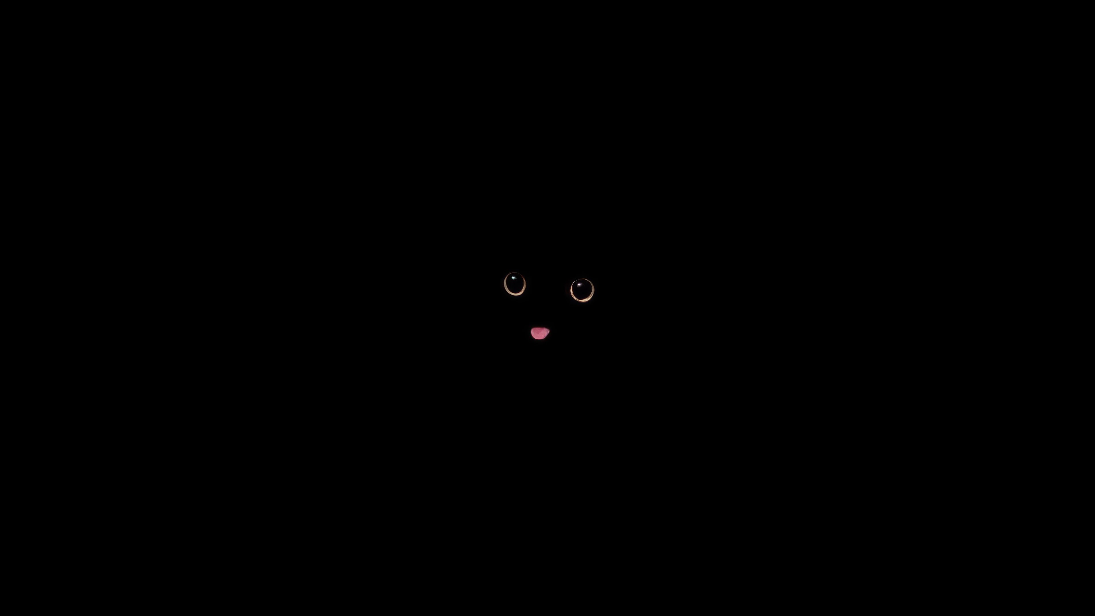Cat with big eyes and tongue out HD Wallpaper