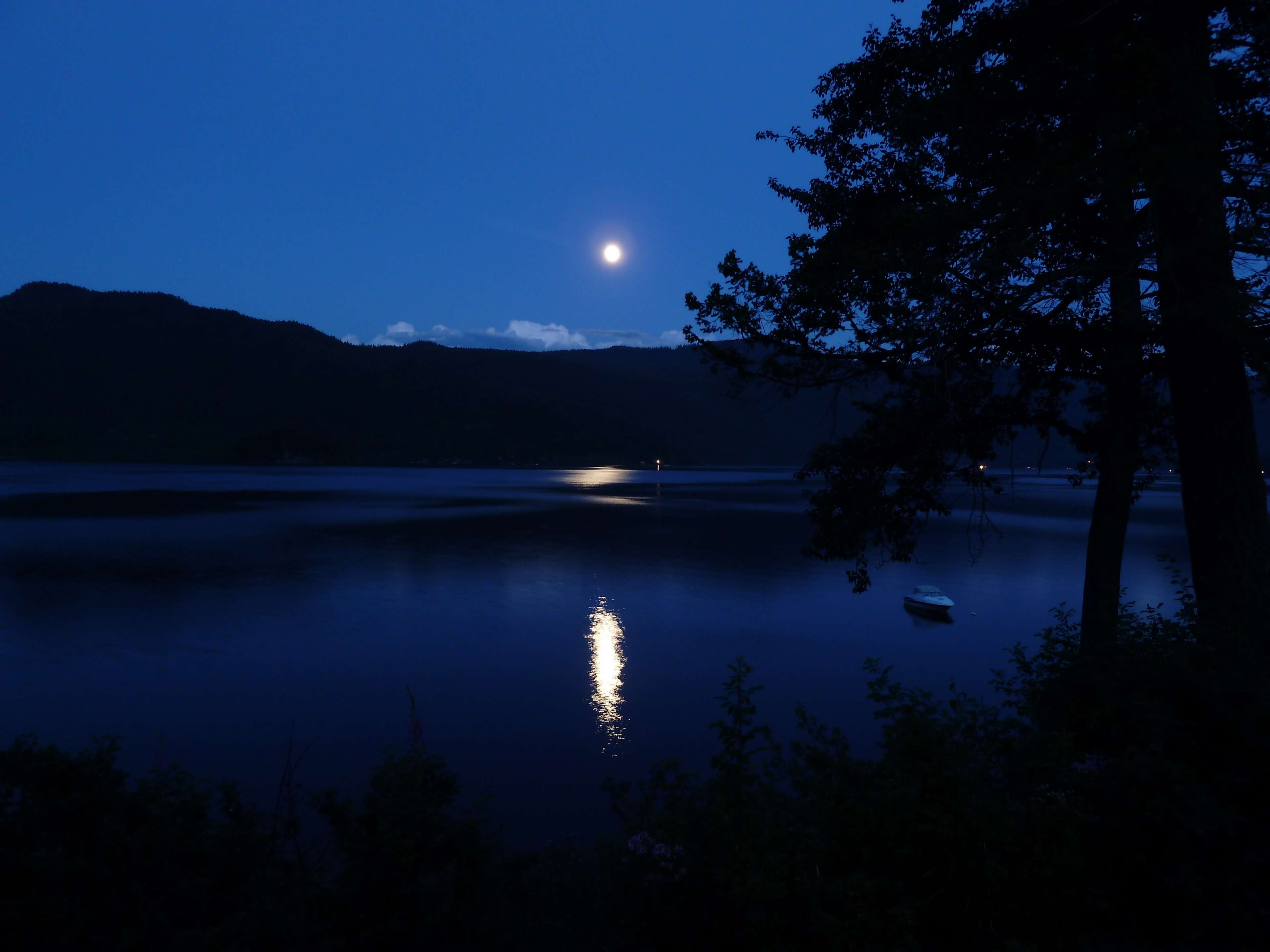 Moonlit night over Canim Lake with silhouette trees HD Wallpaper
