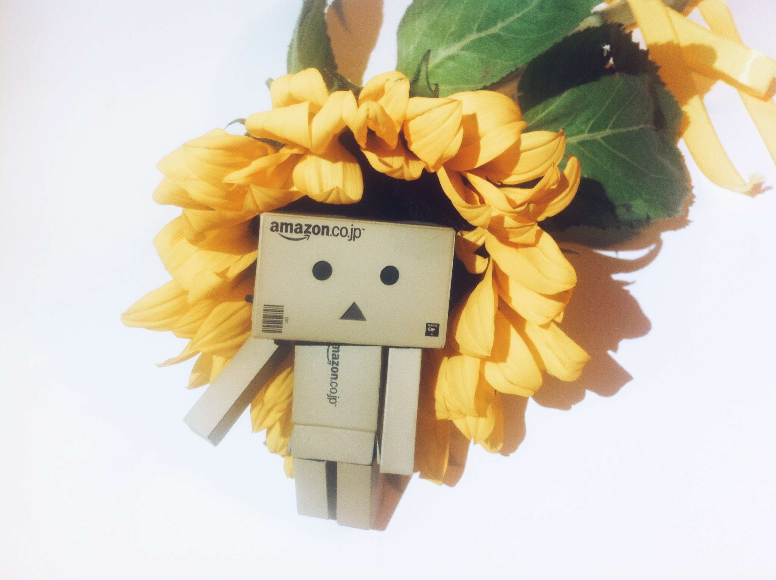 Danbo toy with Amazon.co.jp logo in front of a sunflower HD Wallpaper