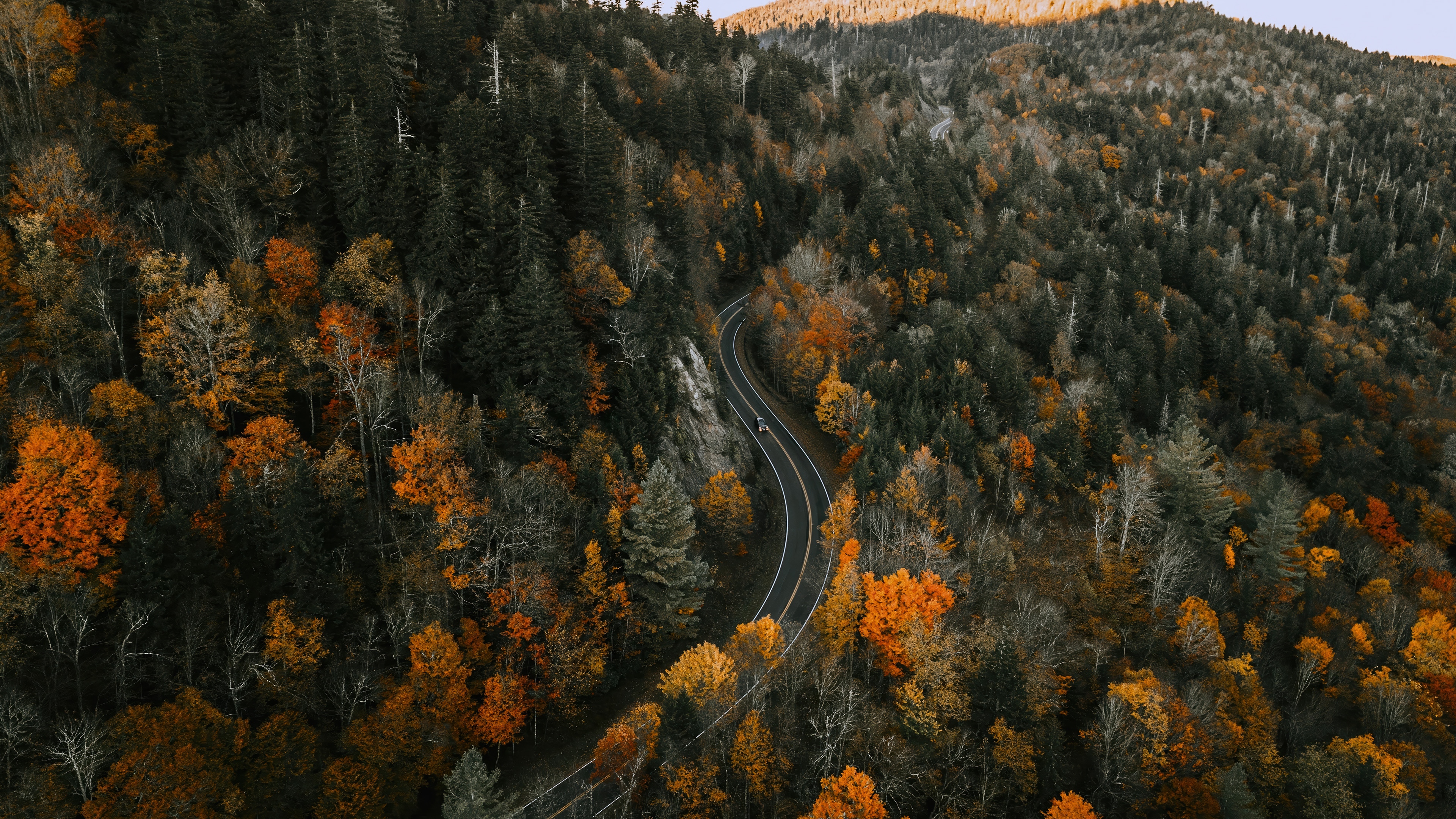 Aerial view of a winding road through an autumn forest HD Wallpaper