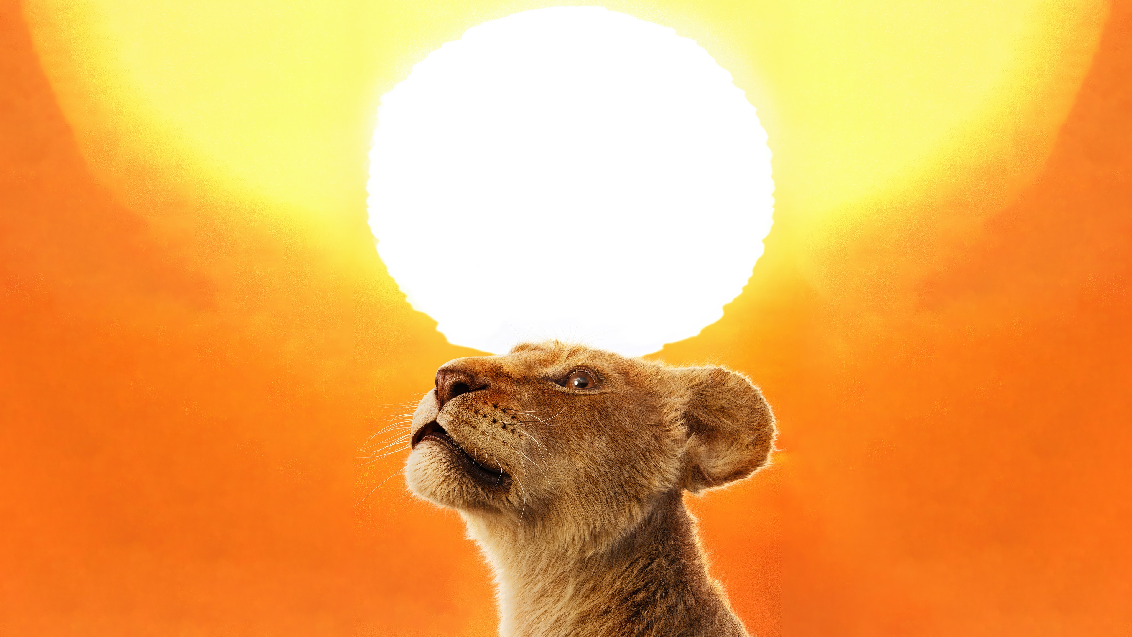Mufasa: The Lion King 4K HD Wallpaper