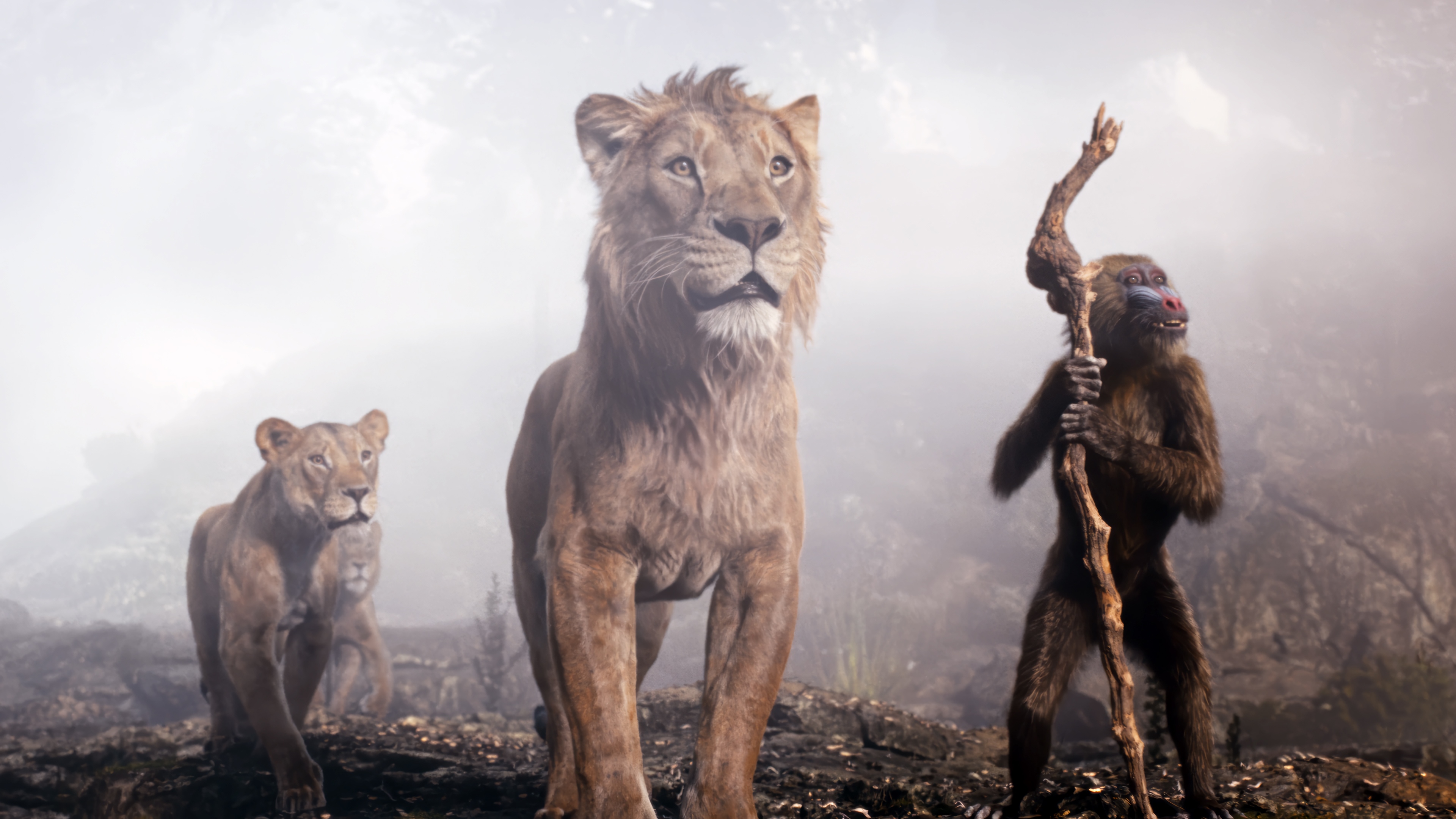 Mufasa: The Lion King 4K HD Wallpaper