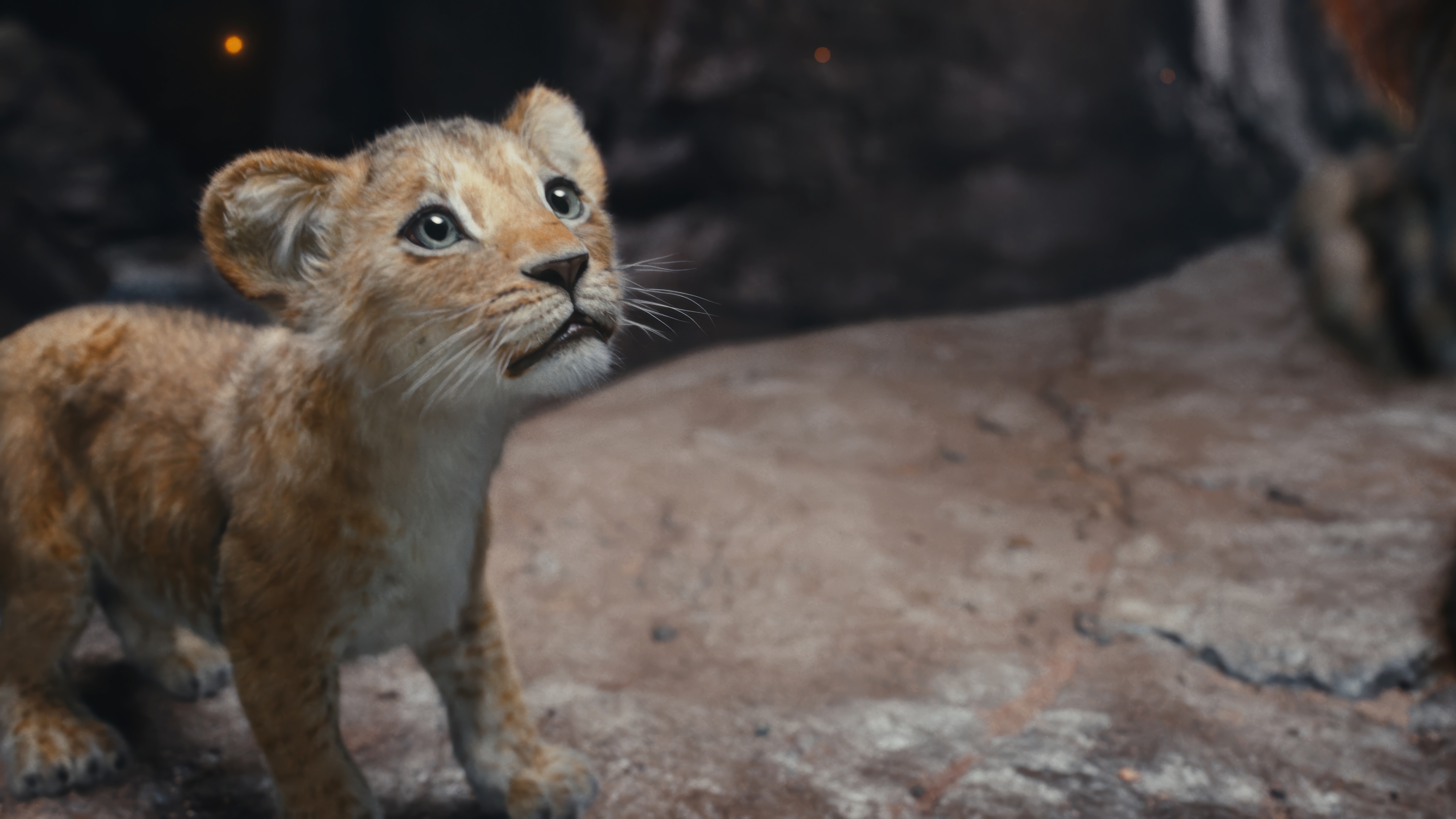 Simba from The Lion King in 4K HD Wallpaper