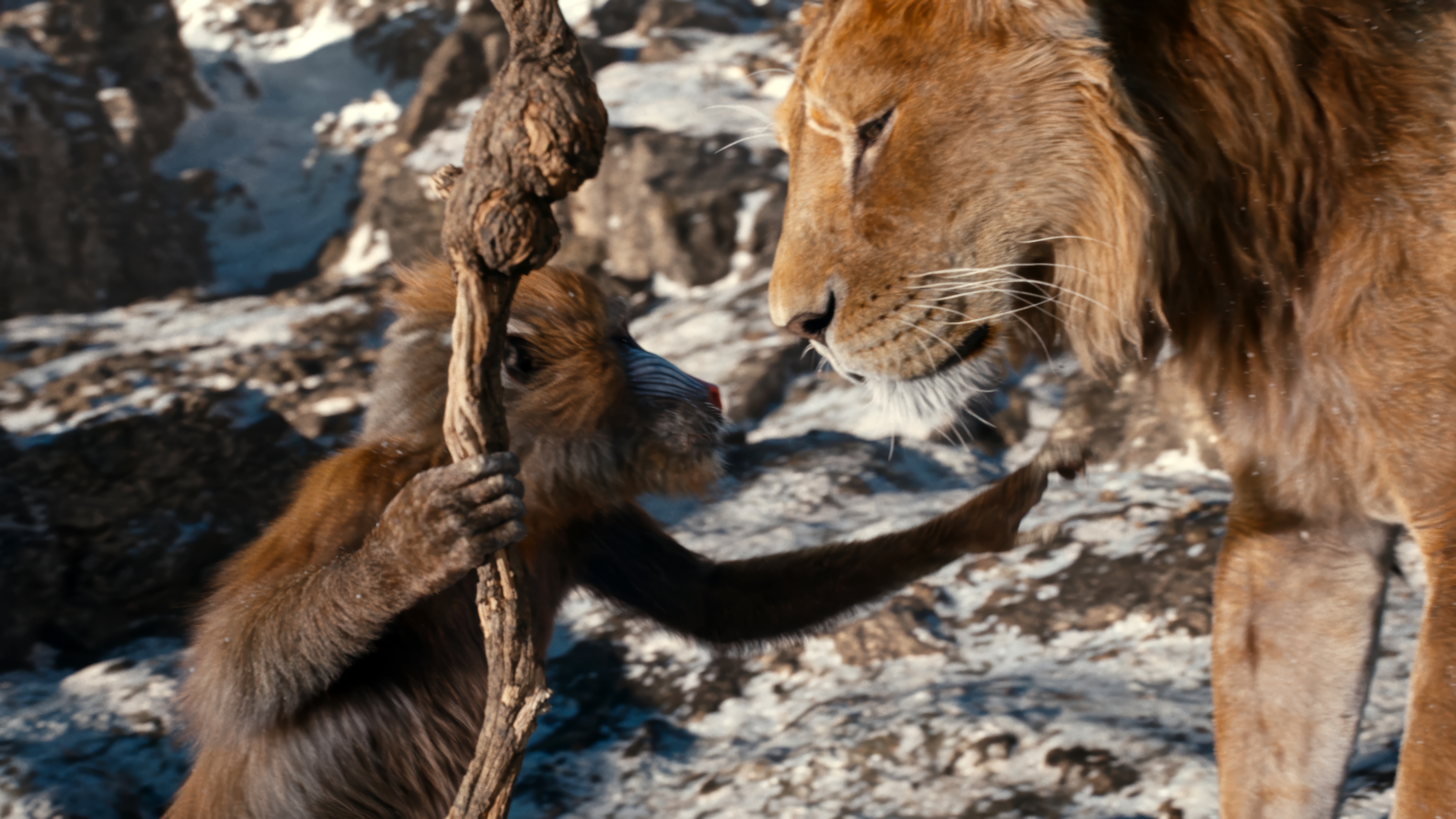 Mufasa and Rafiki in The Lion King 4K HD Wallpaper
