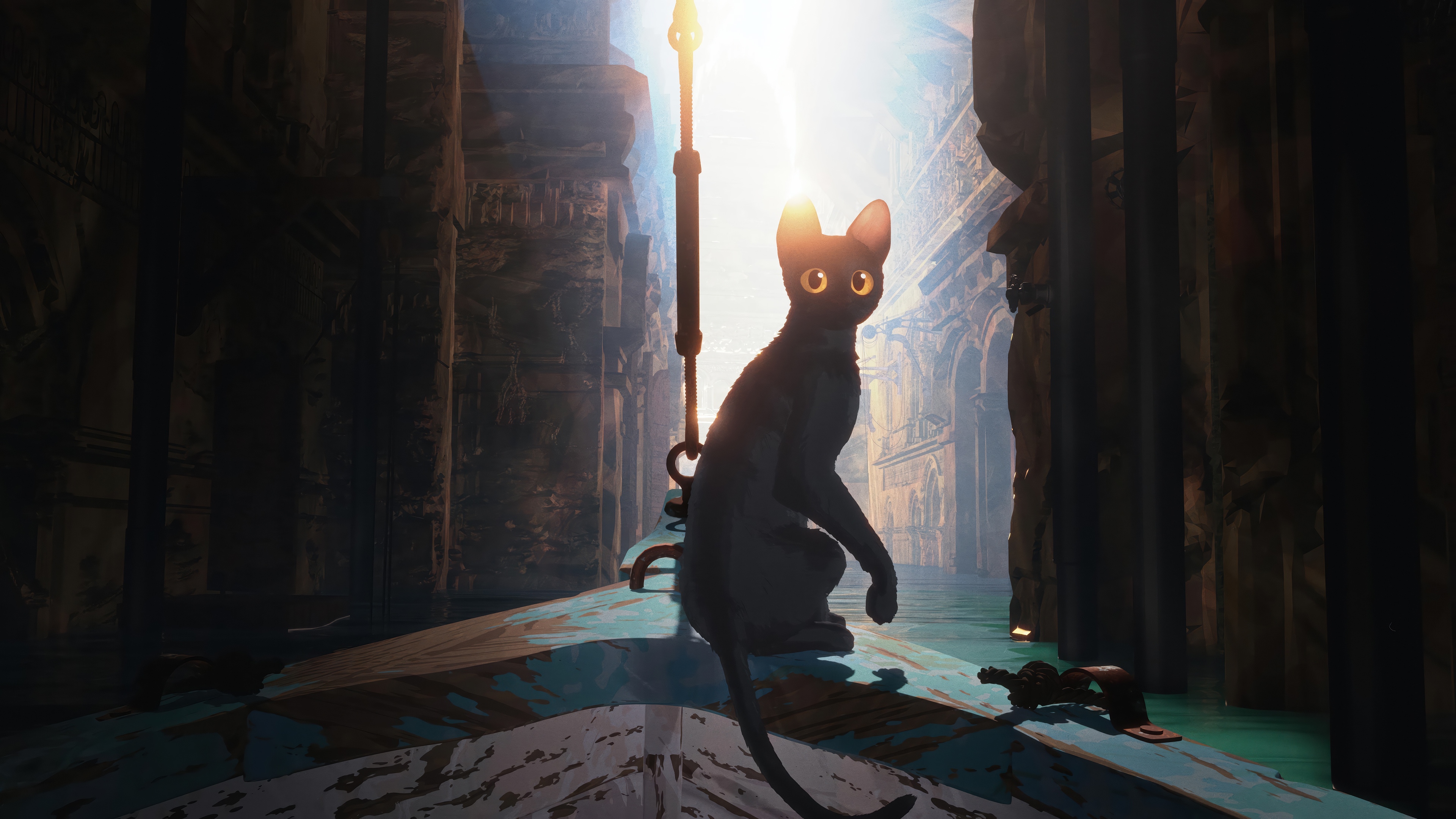Cat in a flooded ancient city HD Wallpaper