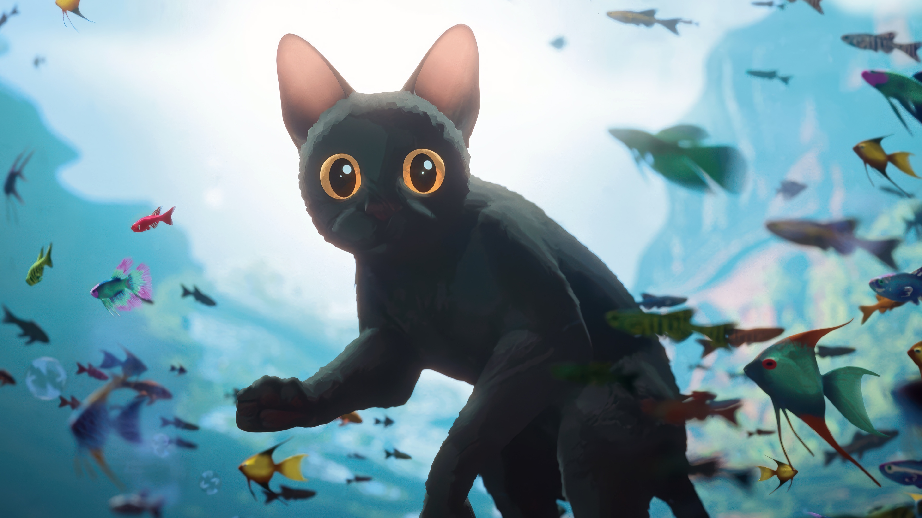 Black Cat in a School of Fish 4K HD Wallpaper