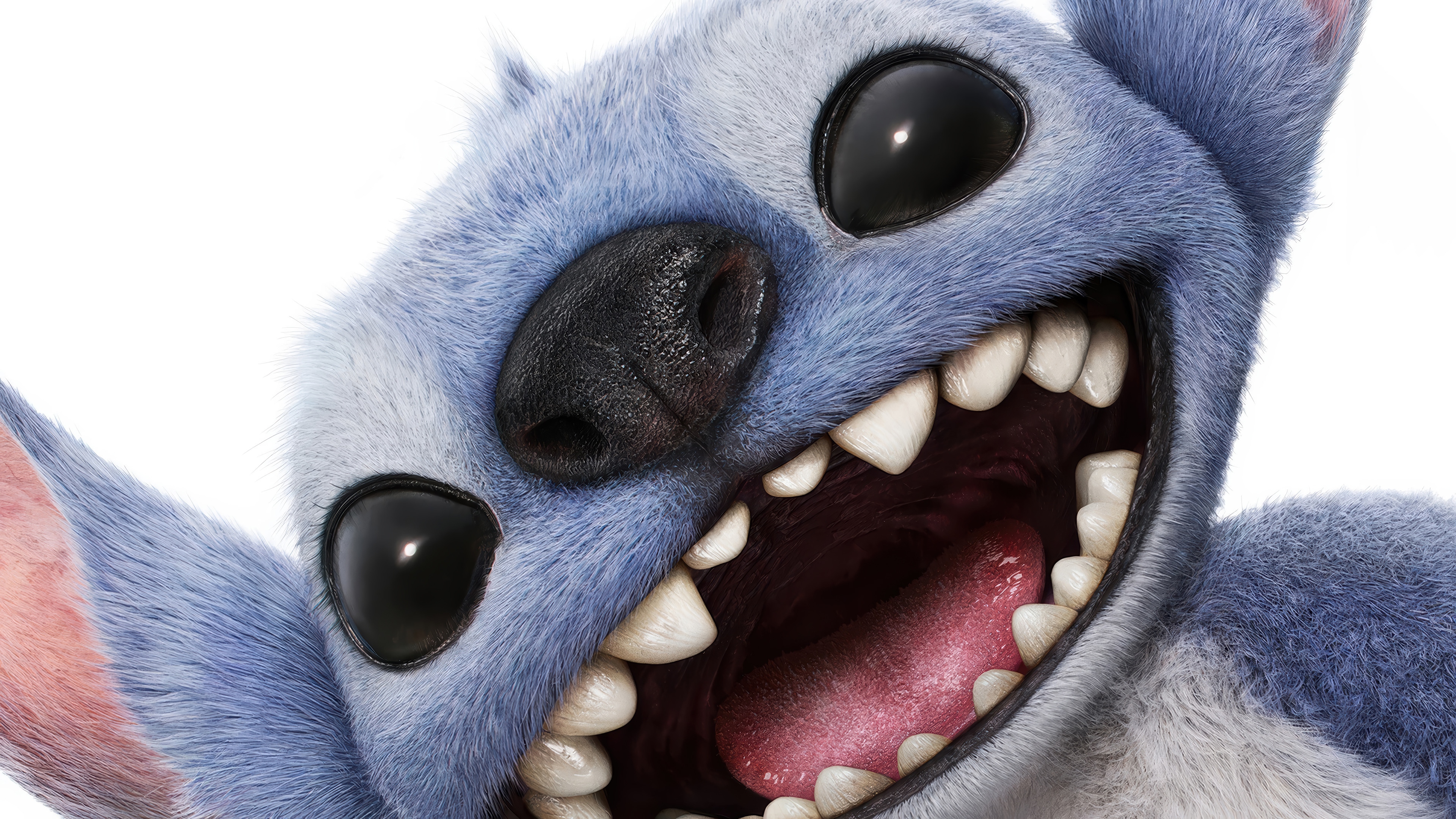 Stitch from Lilo & Stitch 4K HD Wallpaper
