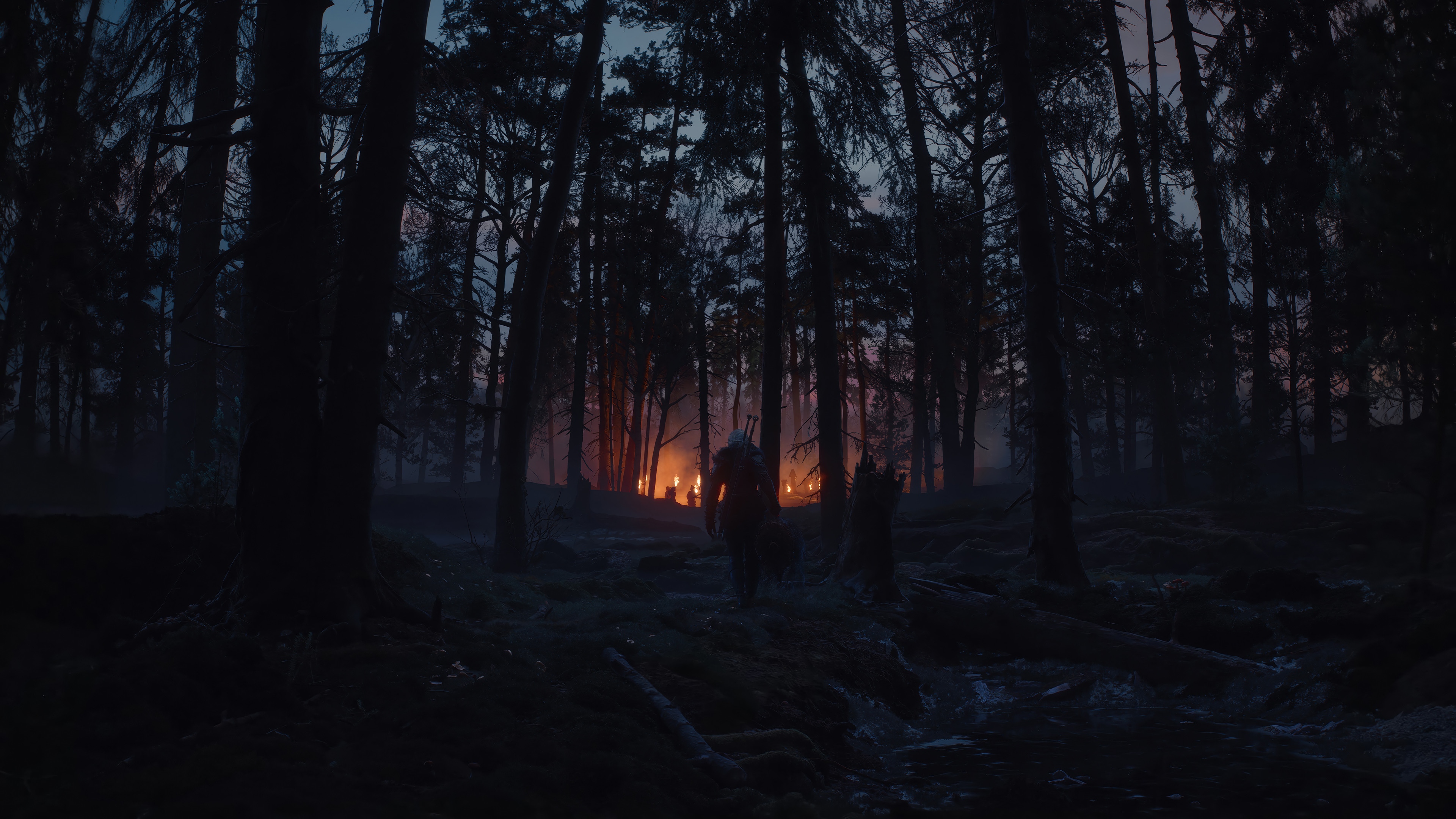 The Witcher 4K HD Wallpaper
