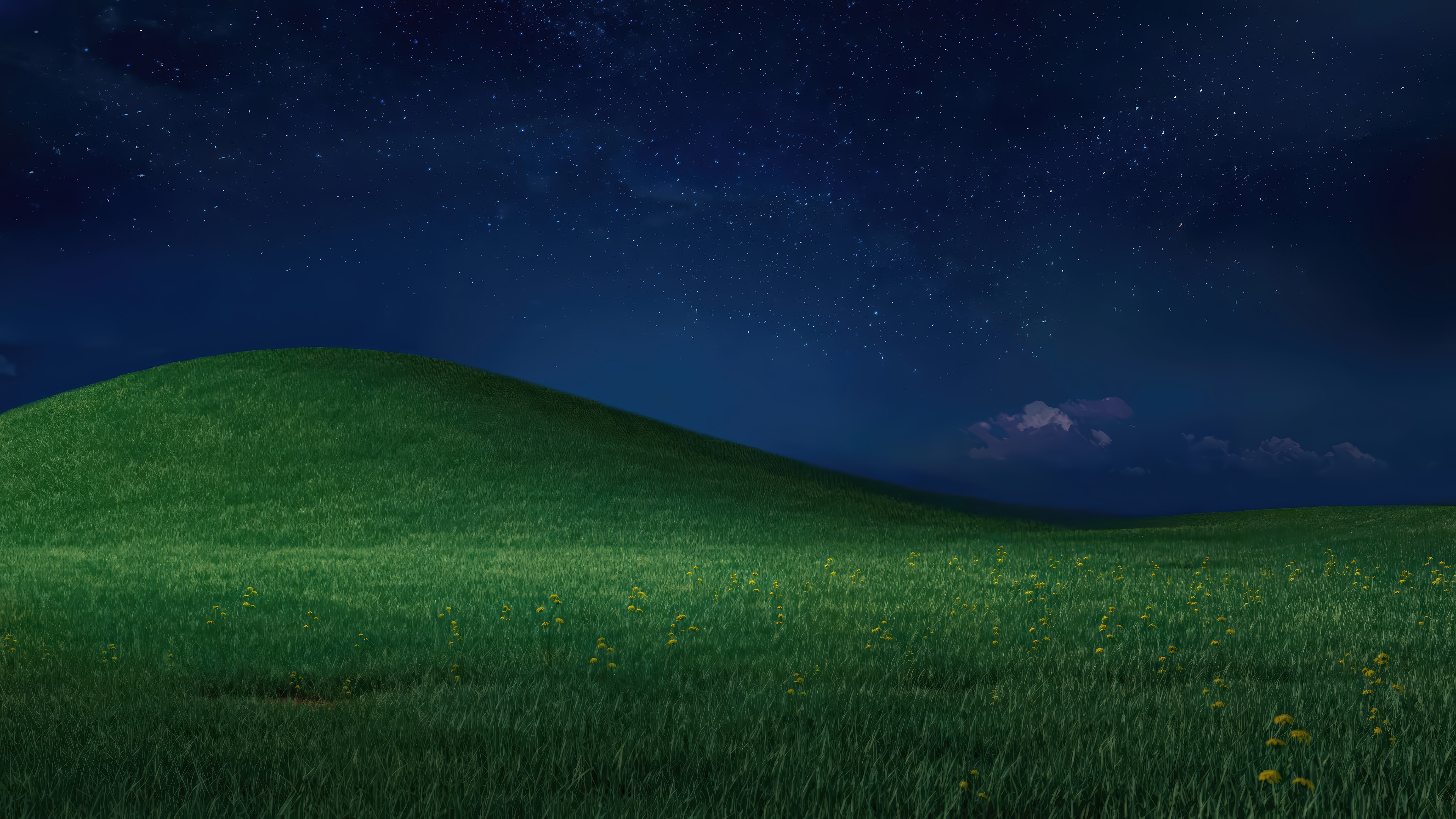 Night sky over a grassy field HD Wallpaper