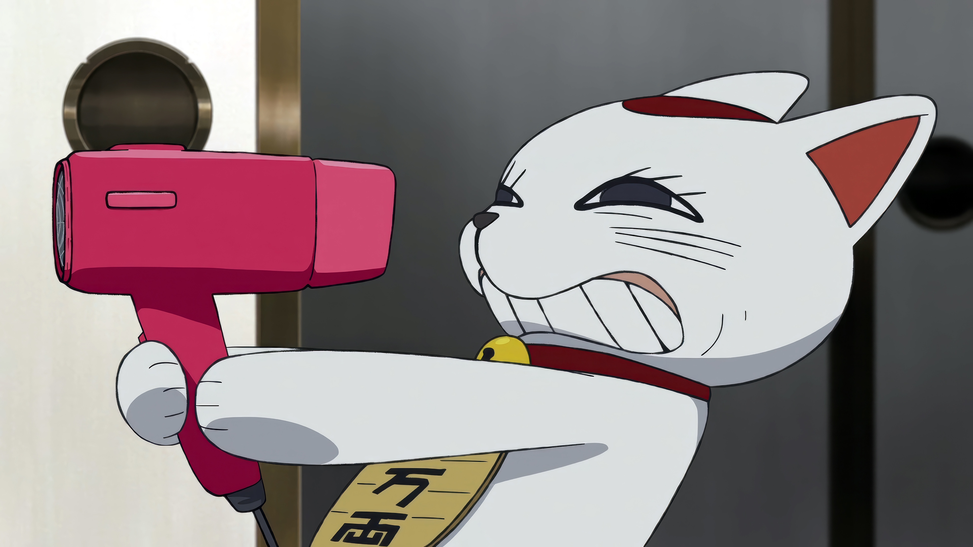 Dandadan: Turbo Granny Cat with Hair Dryer HD Wallpaper