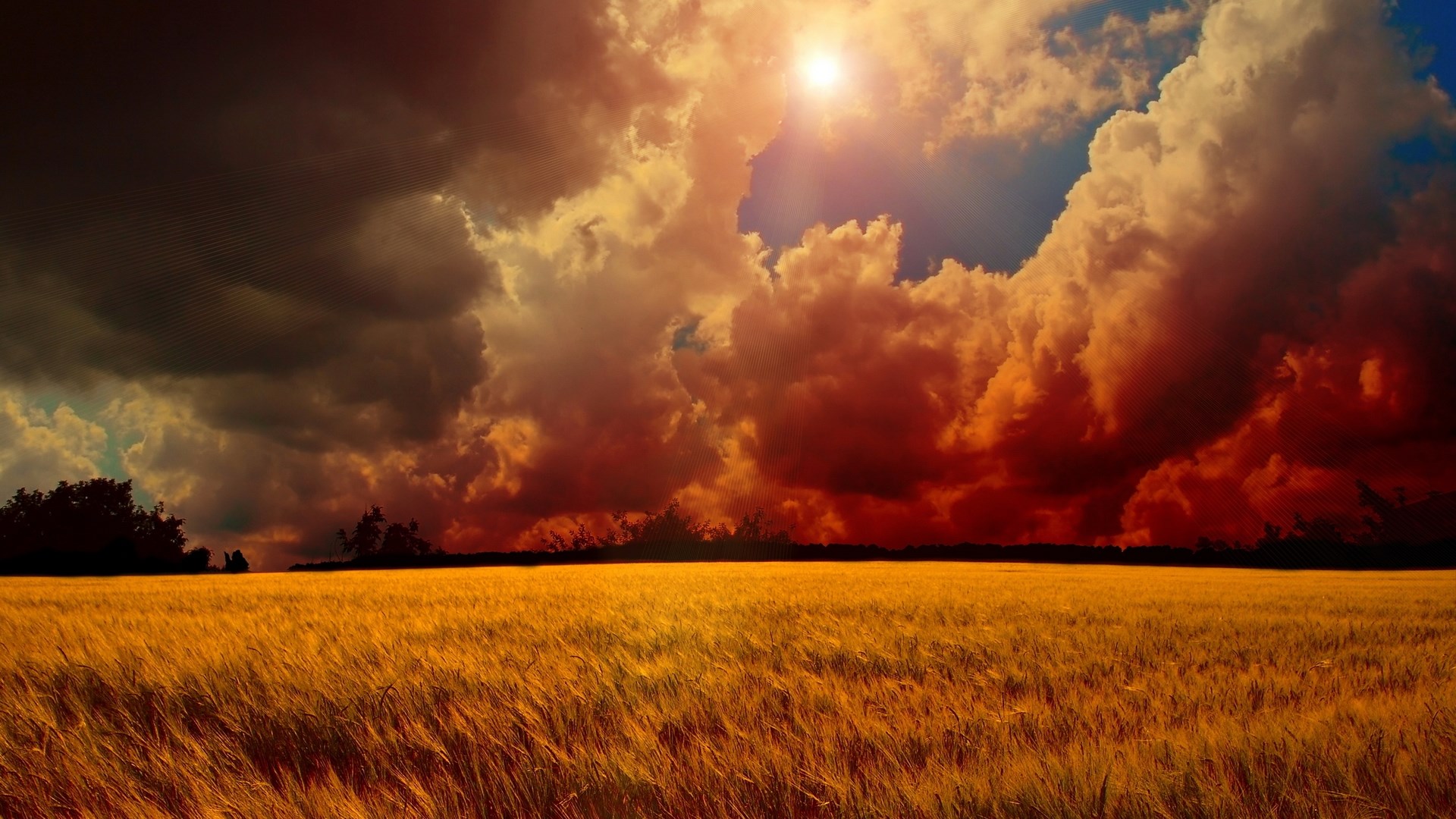 Stormy sky over a golden field HD Wallpaper