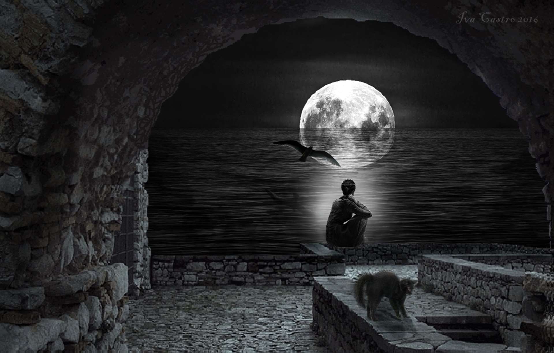 Person and cat by the sea under the moon HD Wallpaper
