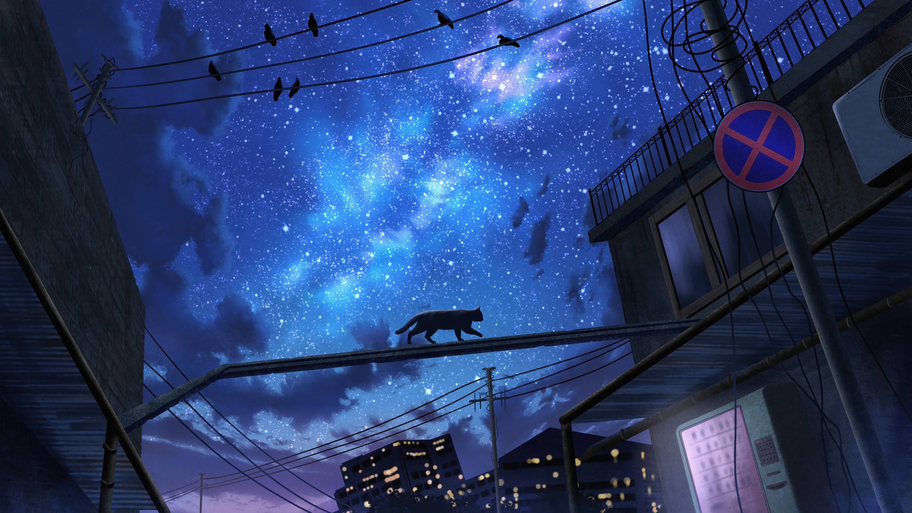 Cat walking on a wire under a starry night sky 4K HD Wallpaper