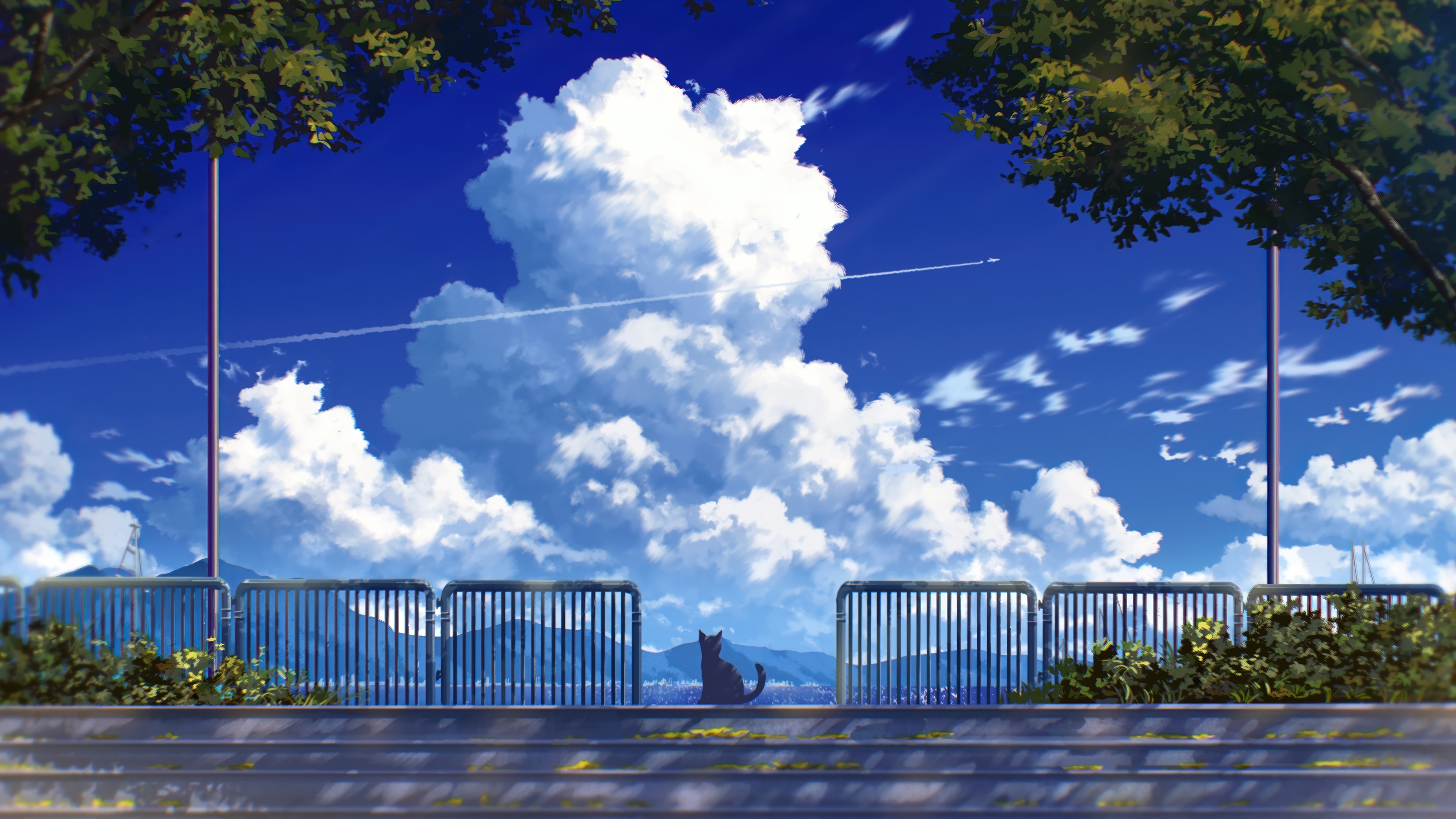 Cat sitting on steps with clouds and trees HD Wallpaper