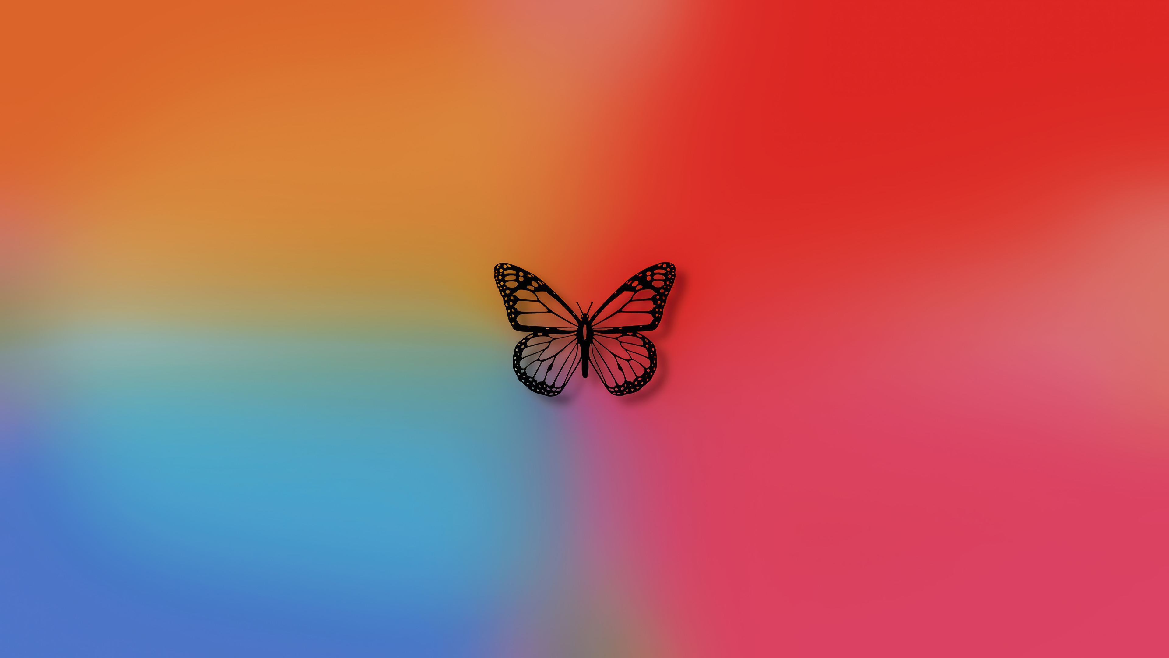 Butterfly on a colorful gradient background 4K HD Wallpaper