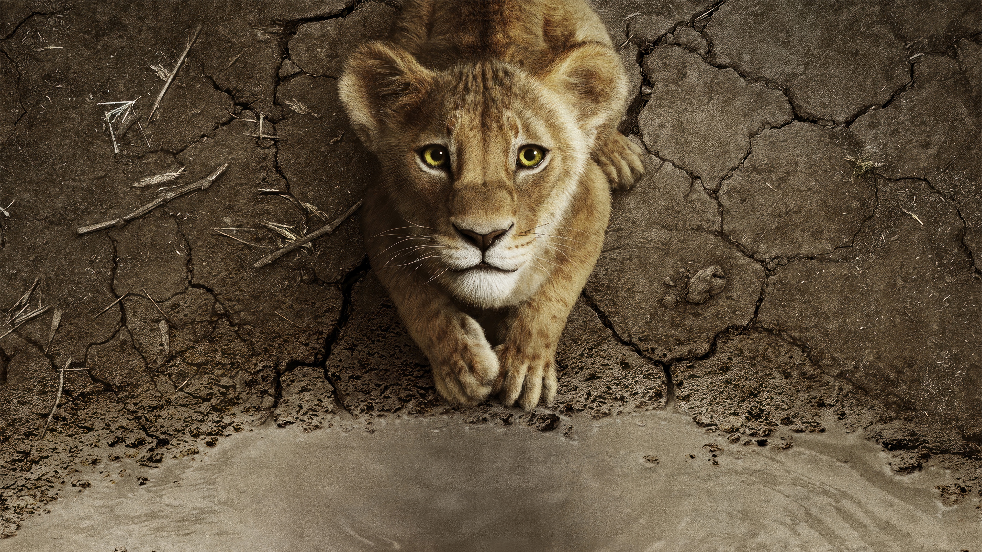 Mufasa: The Lion King 4K HD Wallpaper