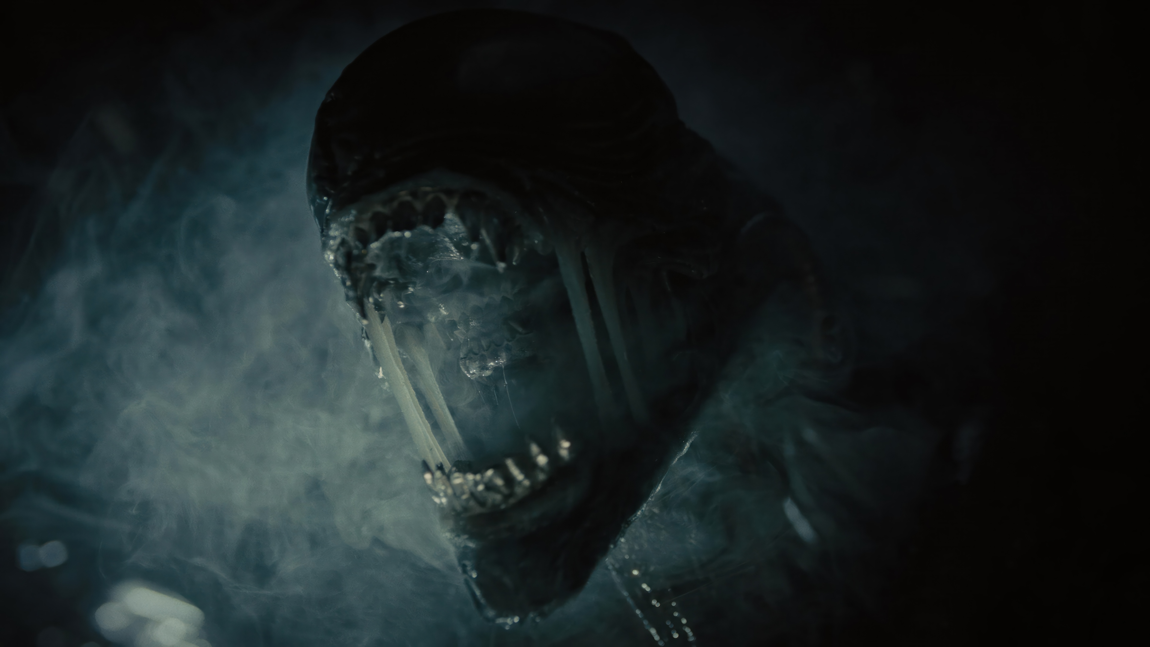 Xenomorph from Alien: Romulus 4K HD Wallpaper