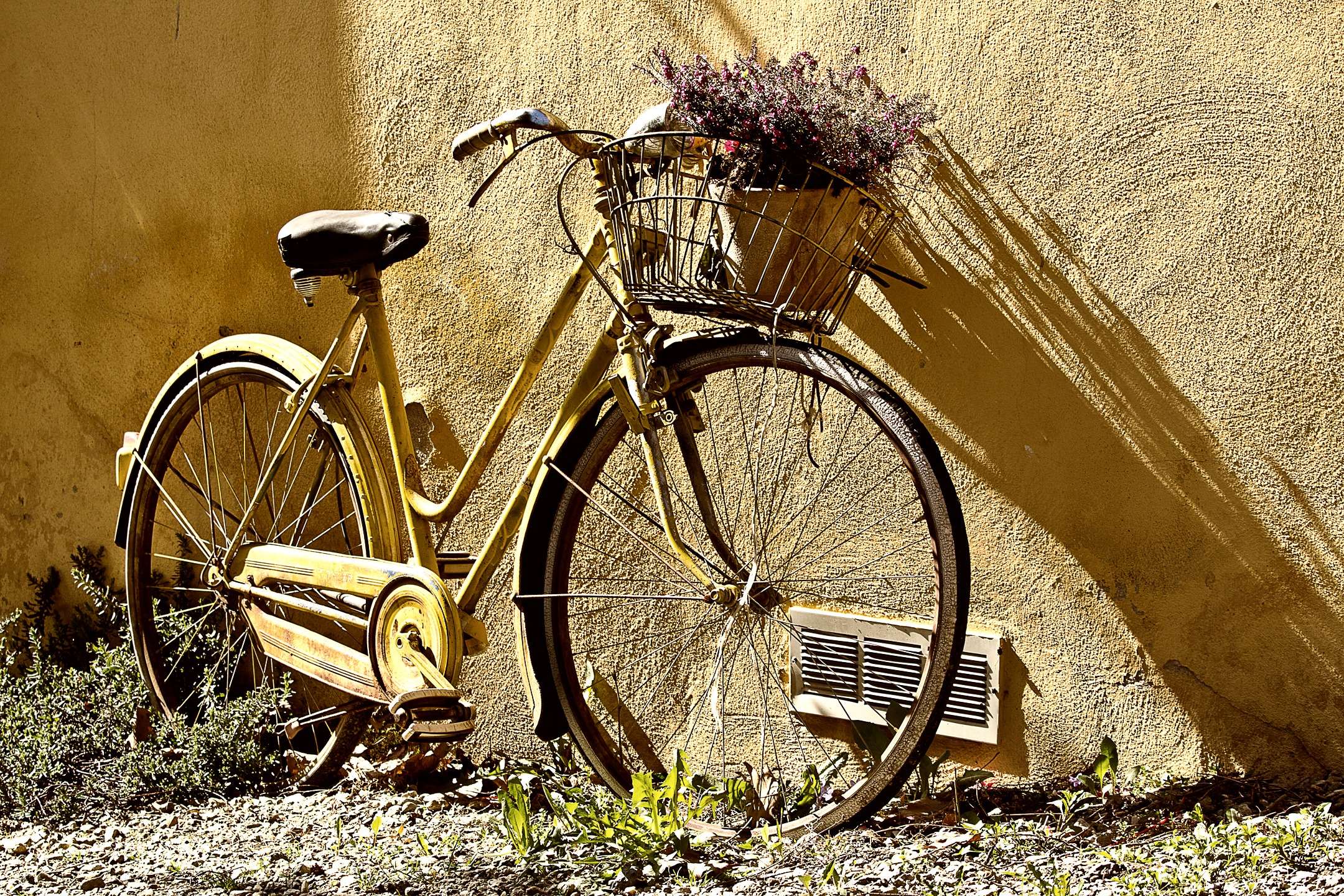 Yellow vintage bicycle with flowers in basket leaning against wall HD Wallpaper