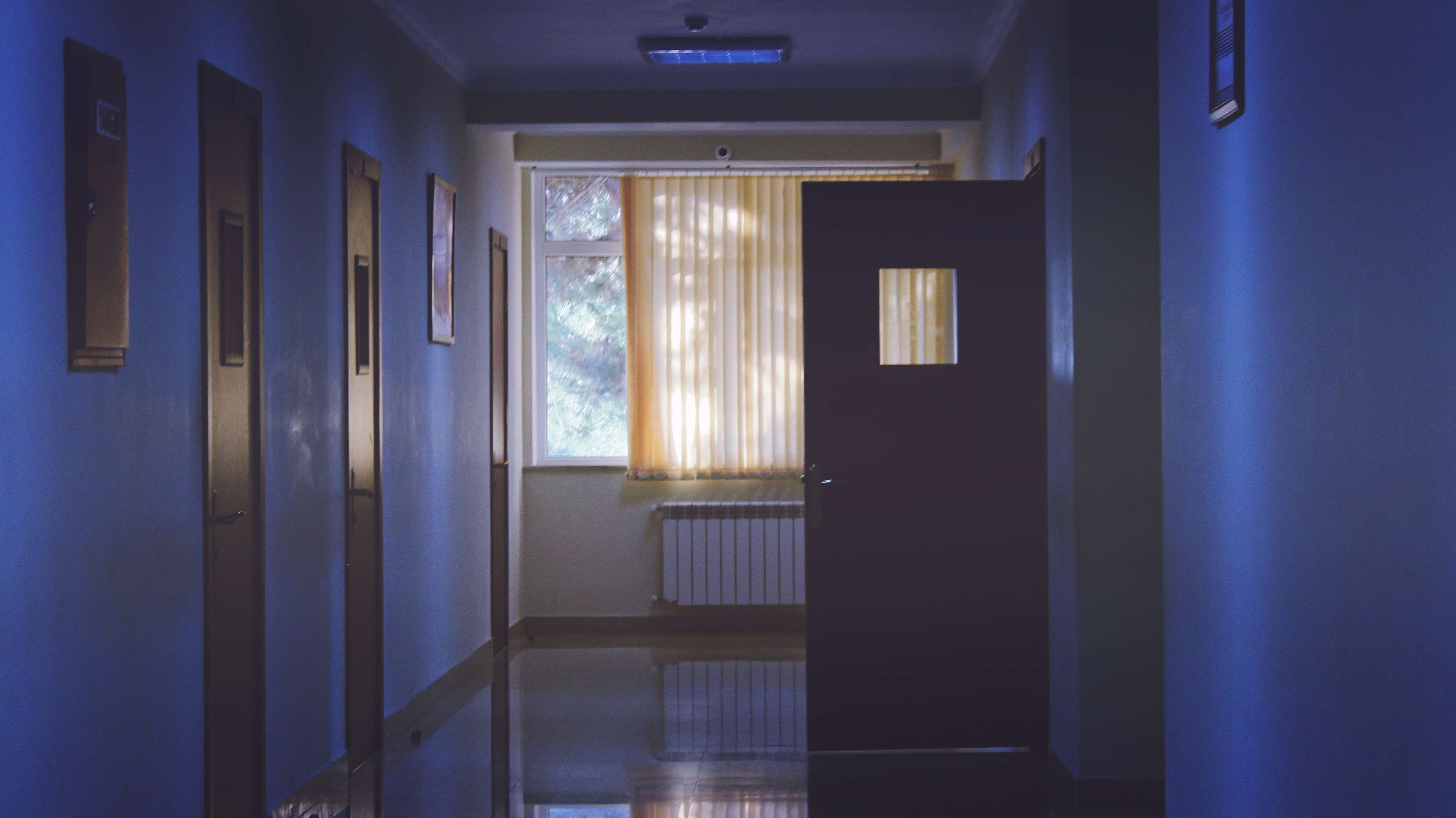 Hallway with doors and window HD Wallpaper