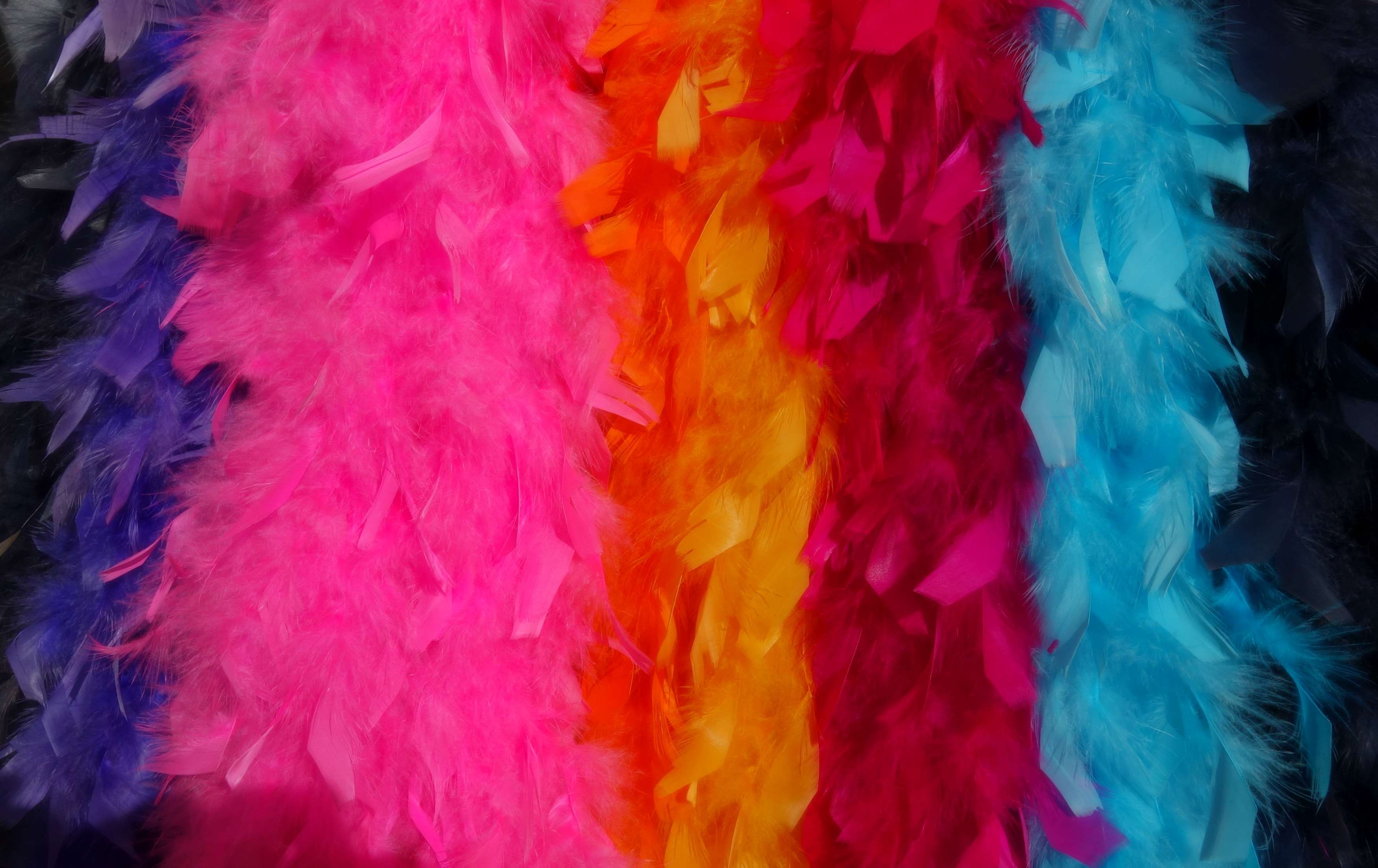Colorful feather boas in a row HD Wallpaper