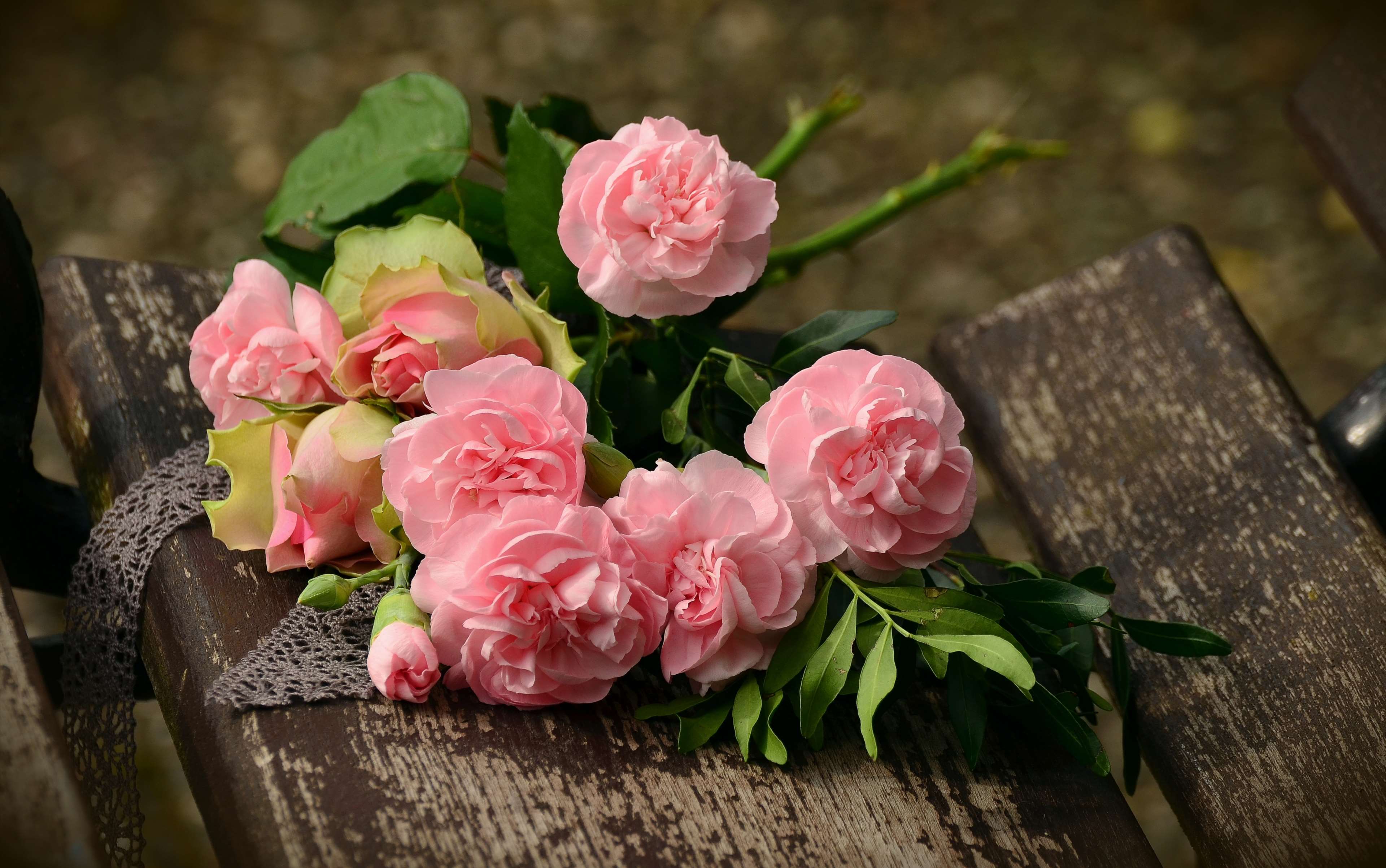 Pink roses and carnations on a wooden bench HD Wallpaper