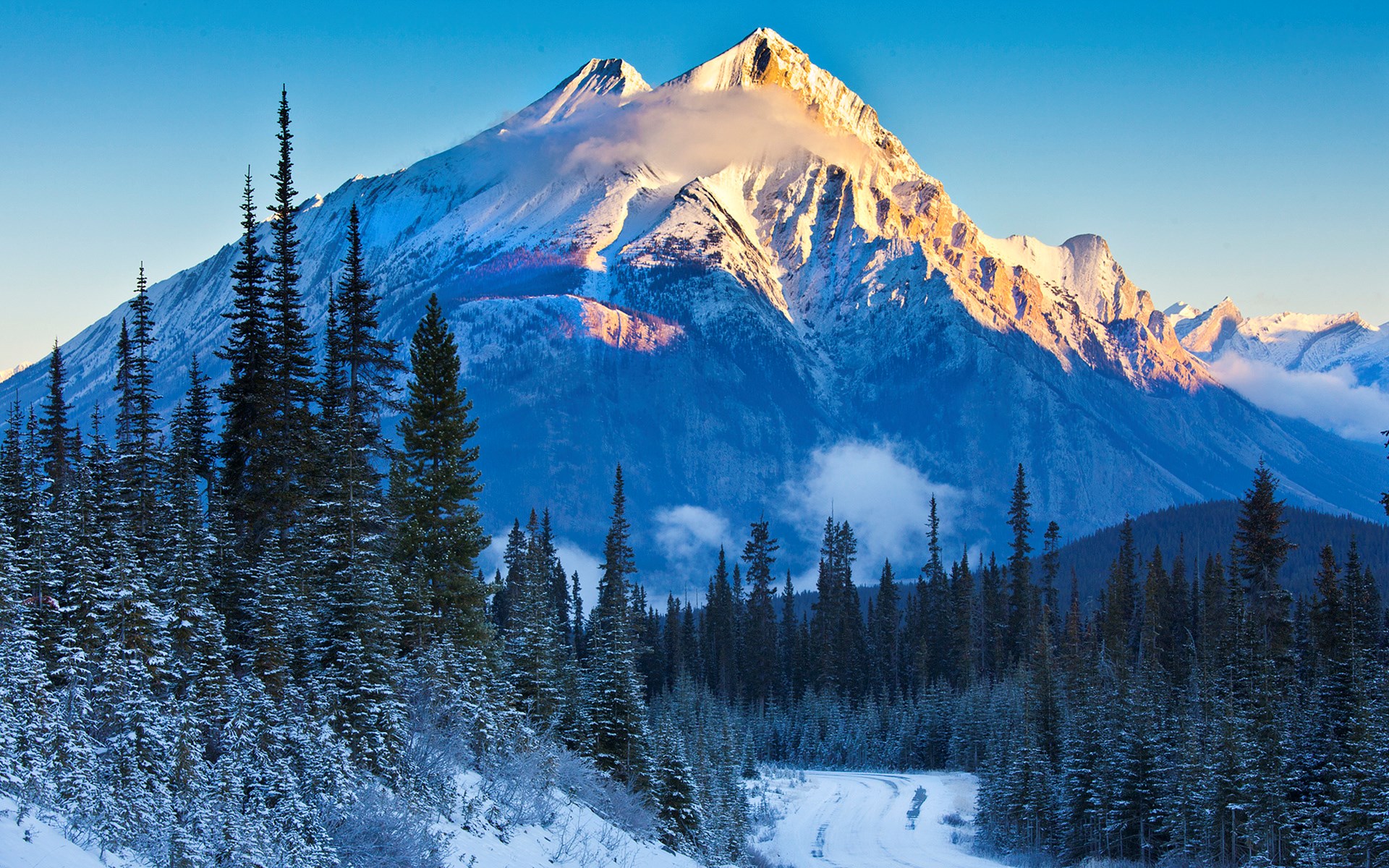 Snowy mountain peak with pine trees and a road HD Wallpaper