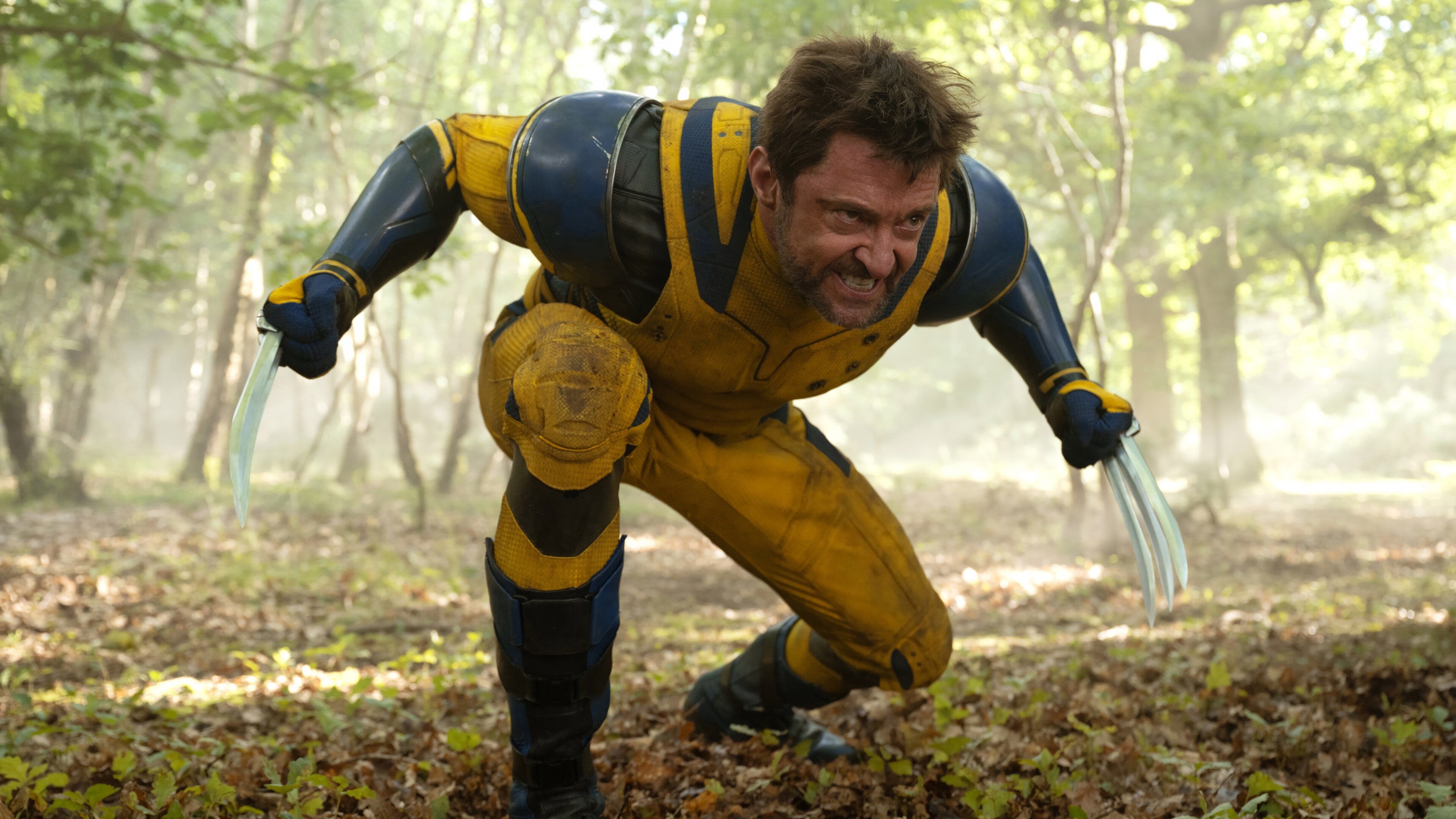 Wolverine in yellow and blue suit with claws HD Wallpaper
