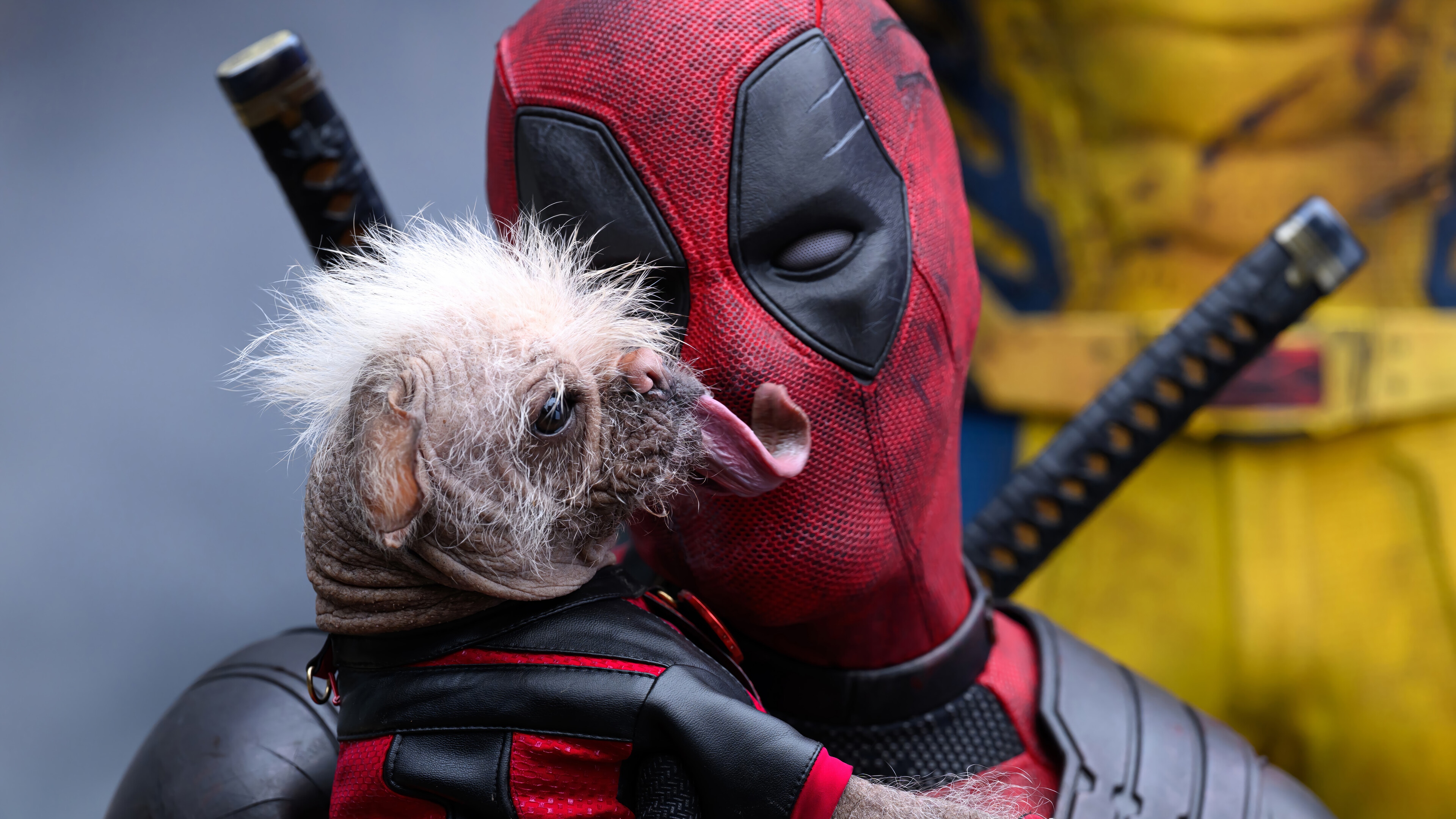 Deadpool holding a dog HD Wallpaper