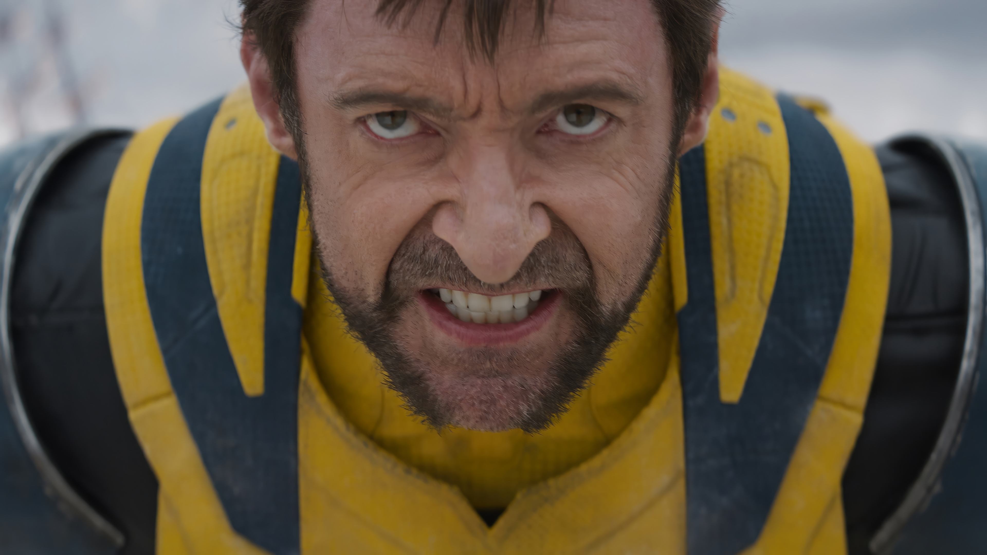 Wolverine in his yellow and blue suit HD Wallpaper