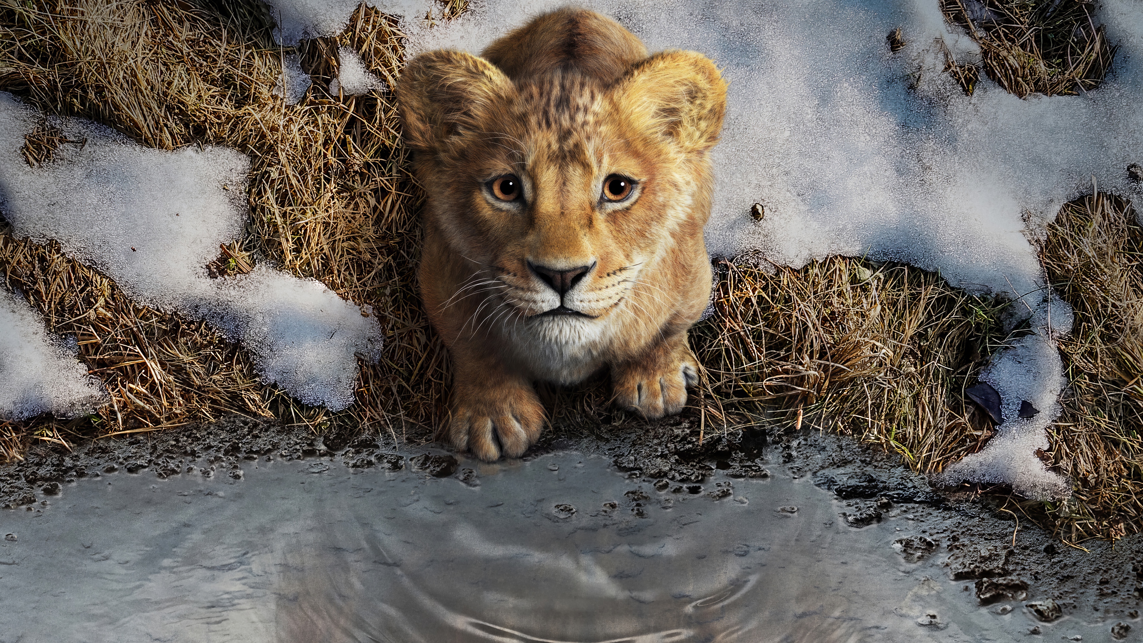 Mufasa: The Lion King 4K HD Wallpaper