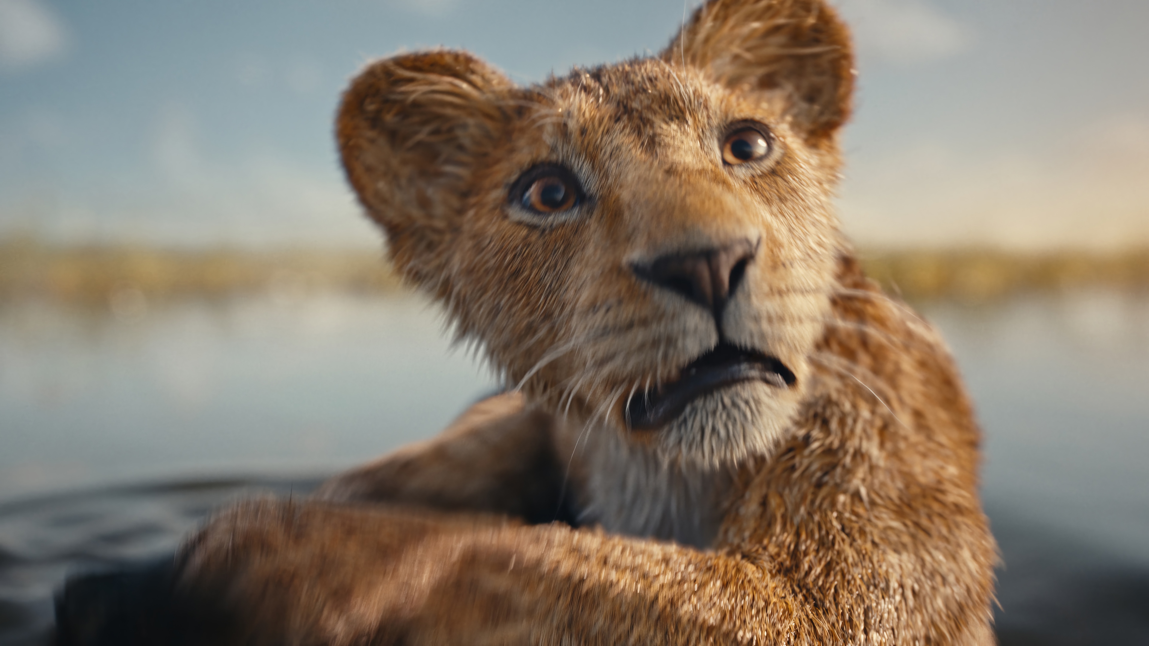 Mufasa: The Lion King 4K HD Wallpaper