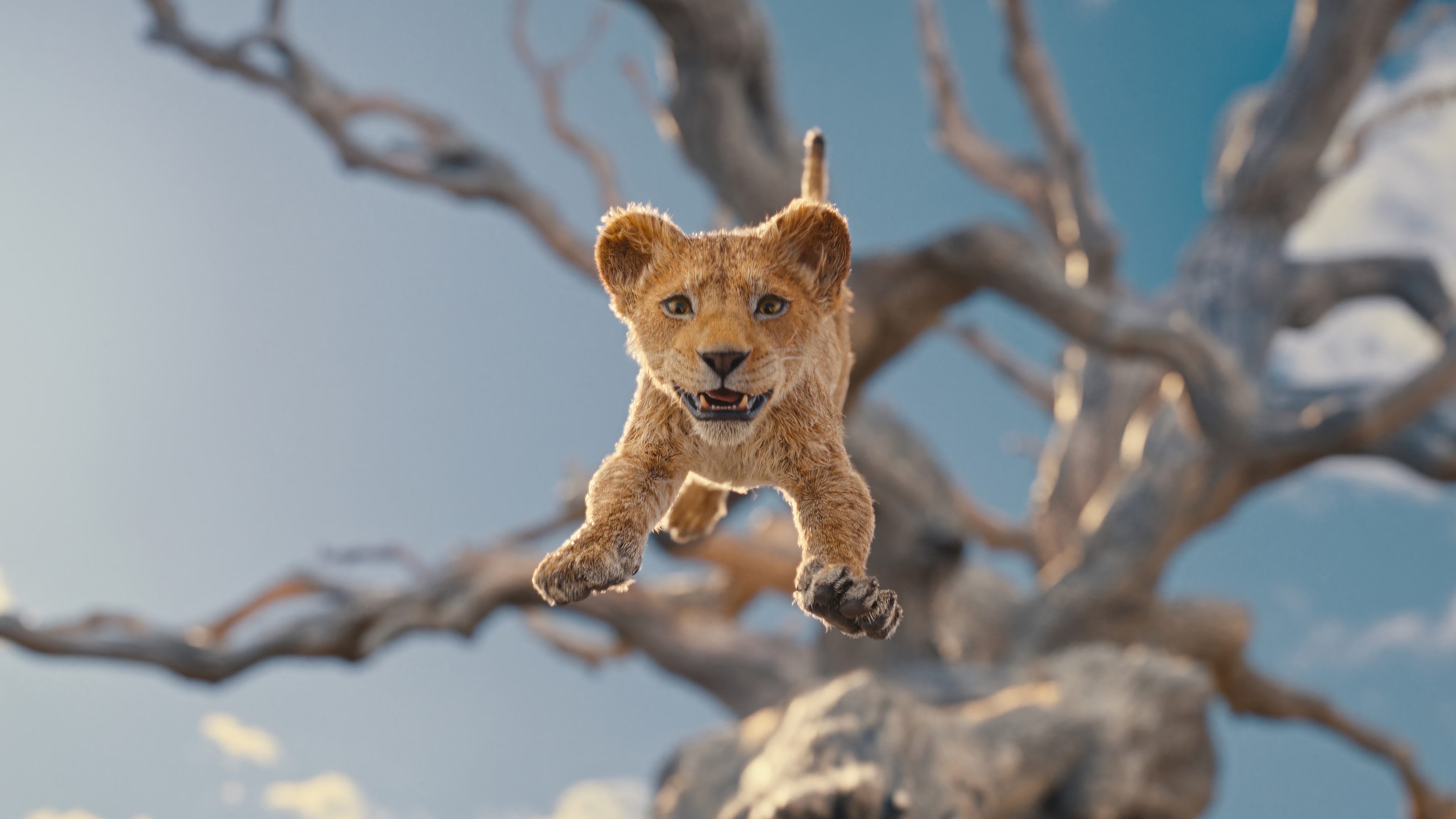Simba from The Lion King jumping in 4K HD Wallpaper