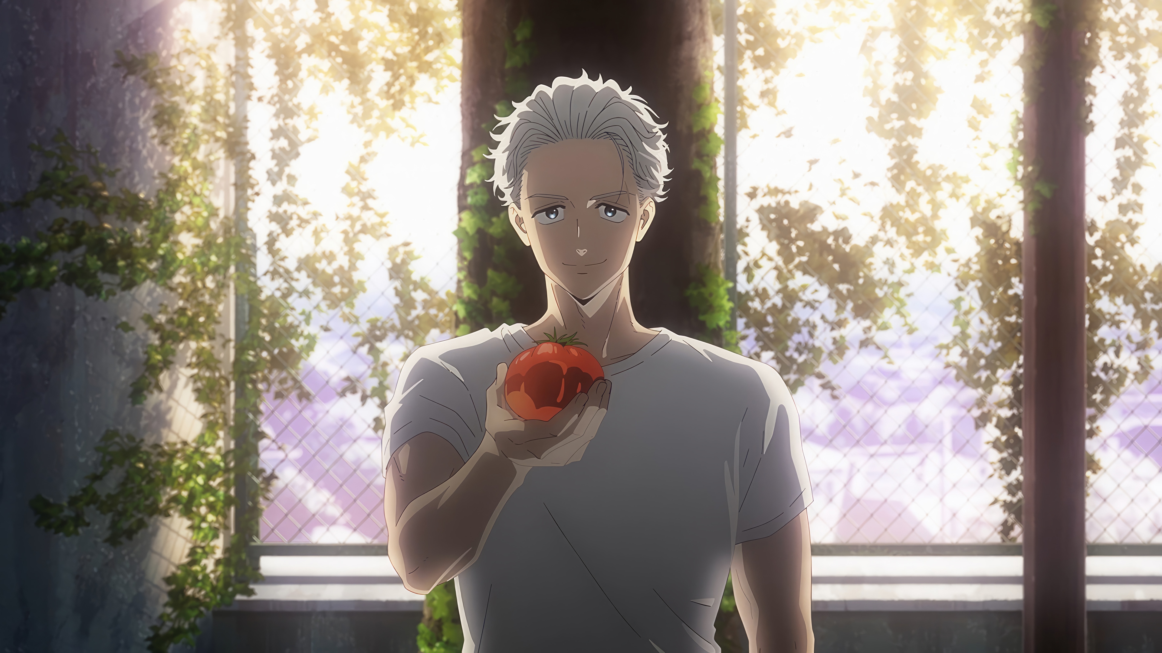 Hajime Umemiya from Wind Breaker holding a tomato HD Wallpaper