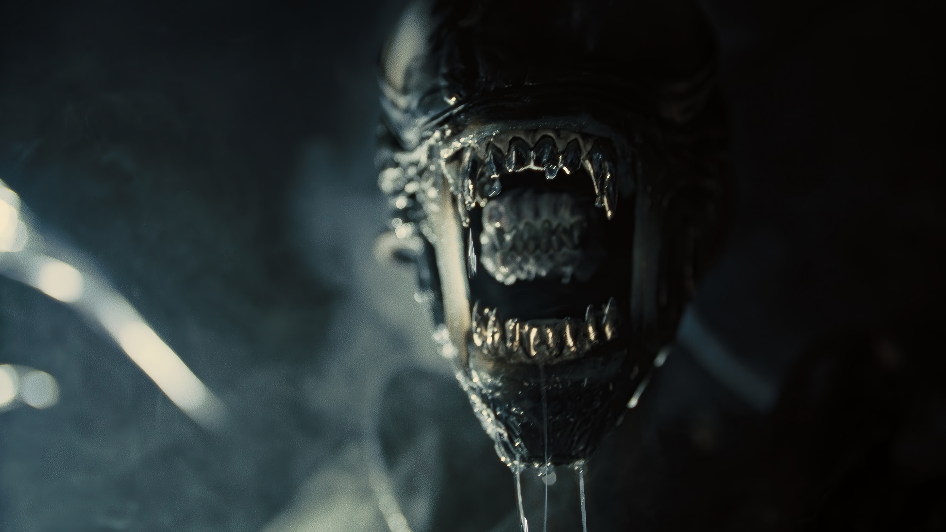 Xenomorph from Alien: Romulus 4K HD Wallpaper